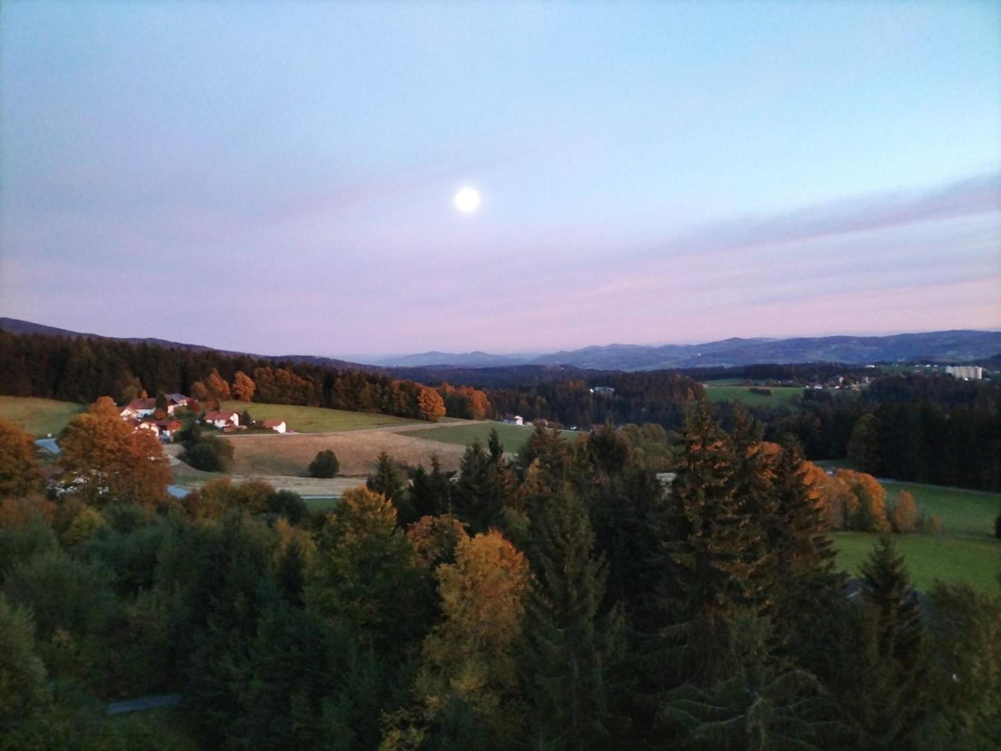 Panorama Bayerwald