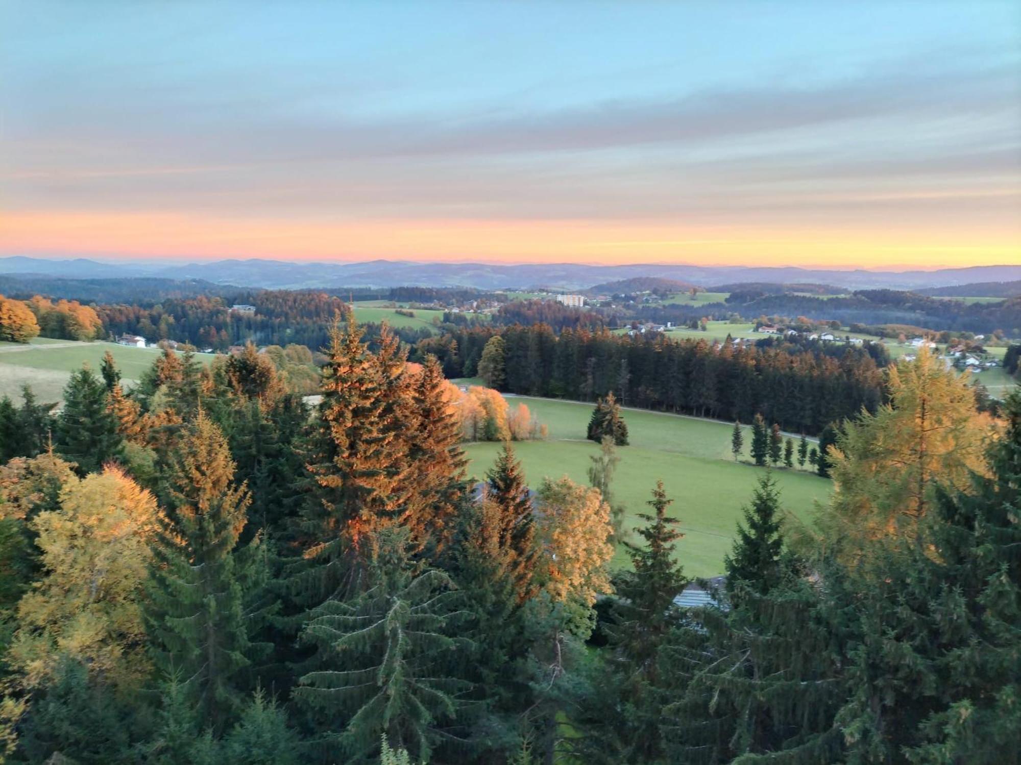Panorama Bayerwald