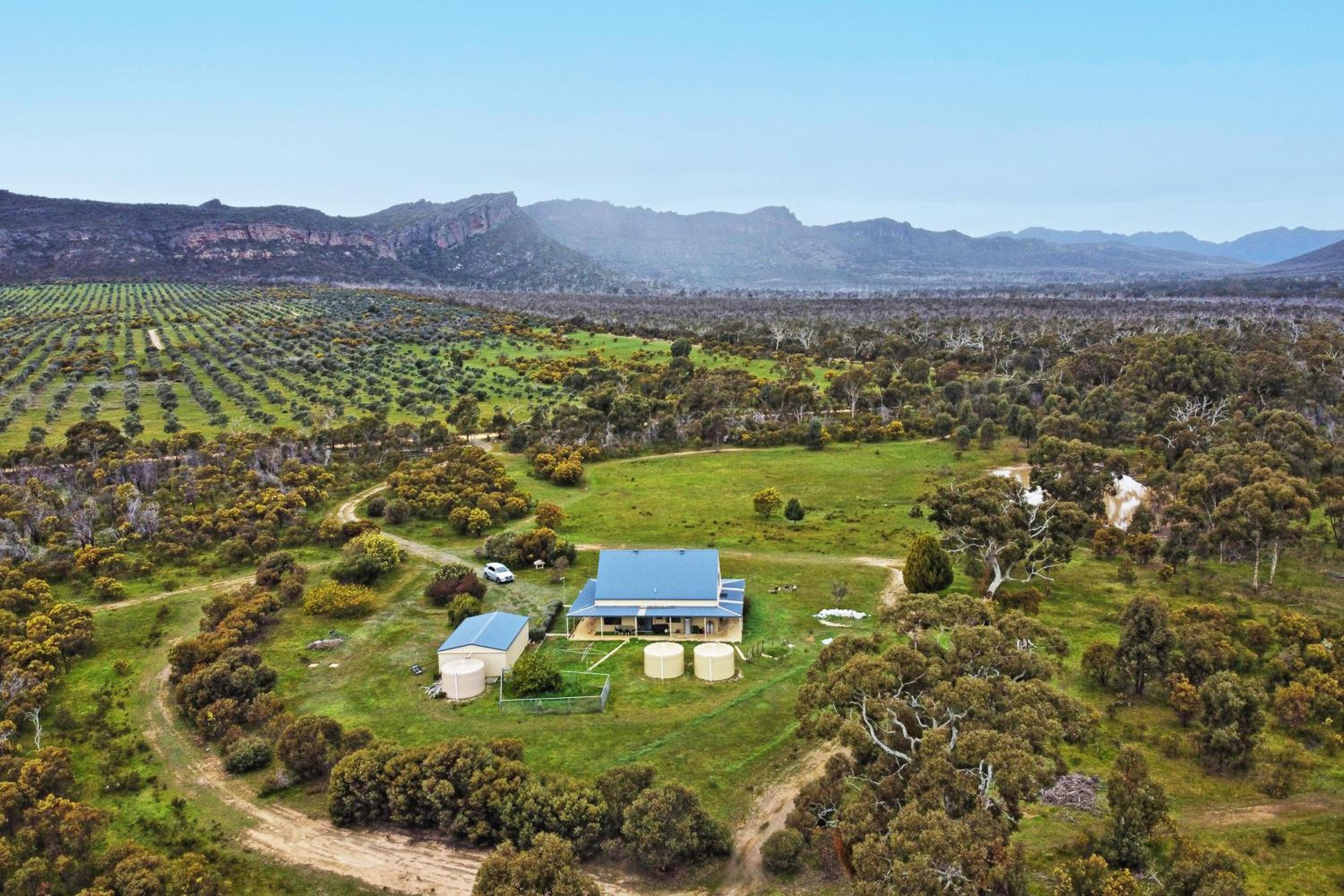 Morningside farm house with Mountian views...