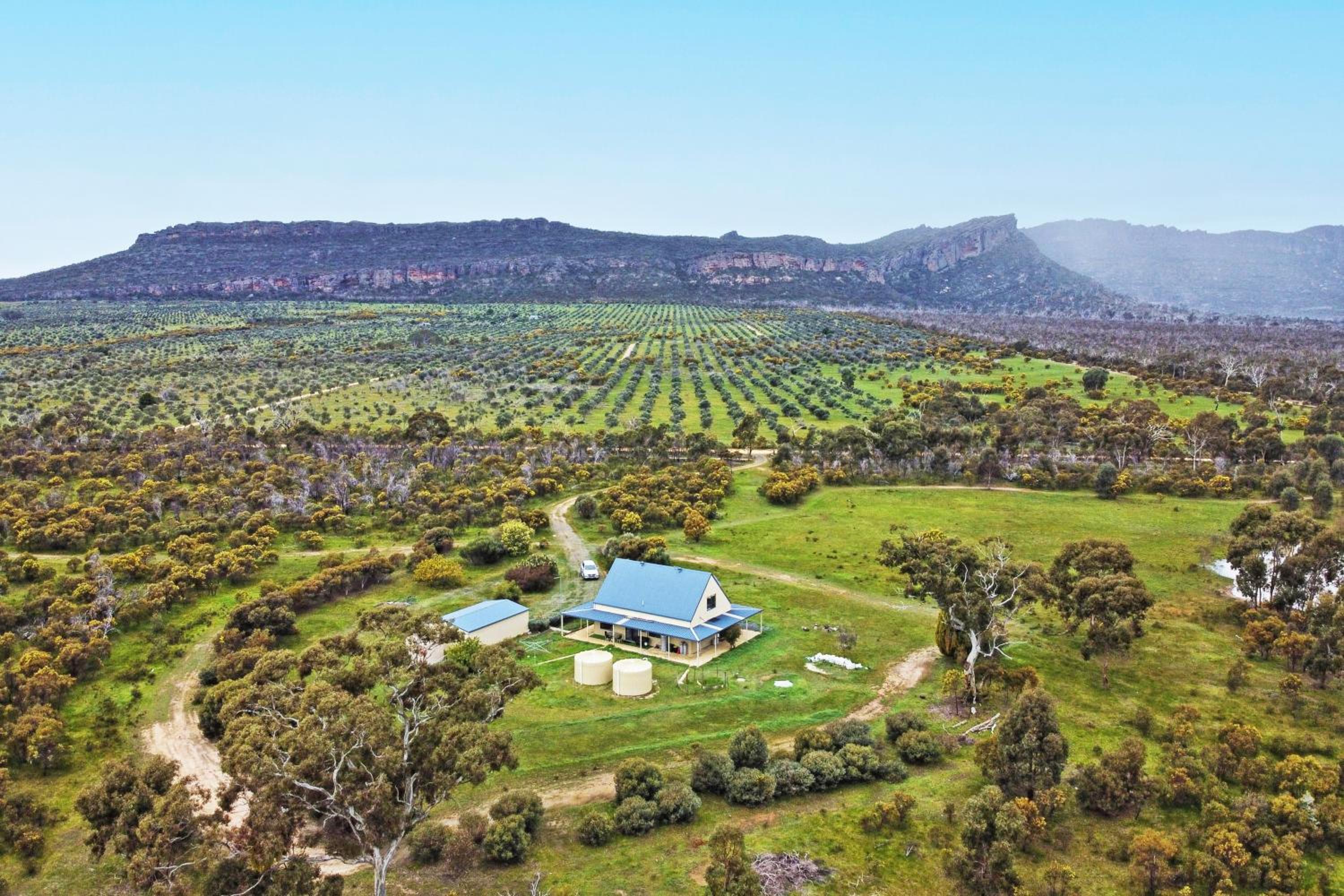 Morningside farm house with Mountian views...