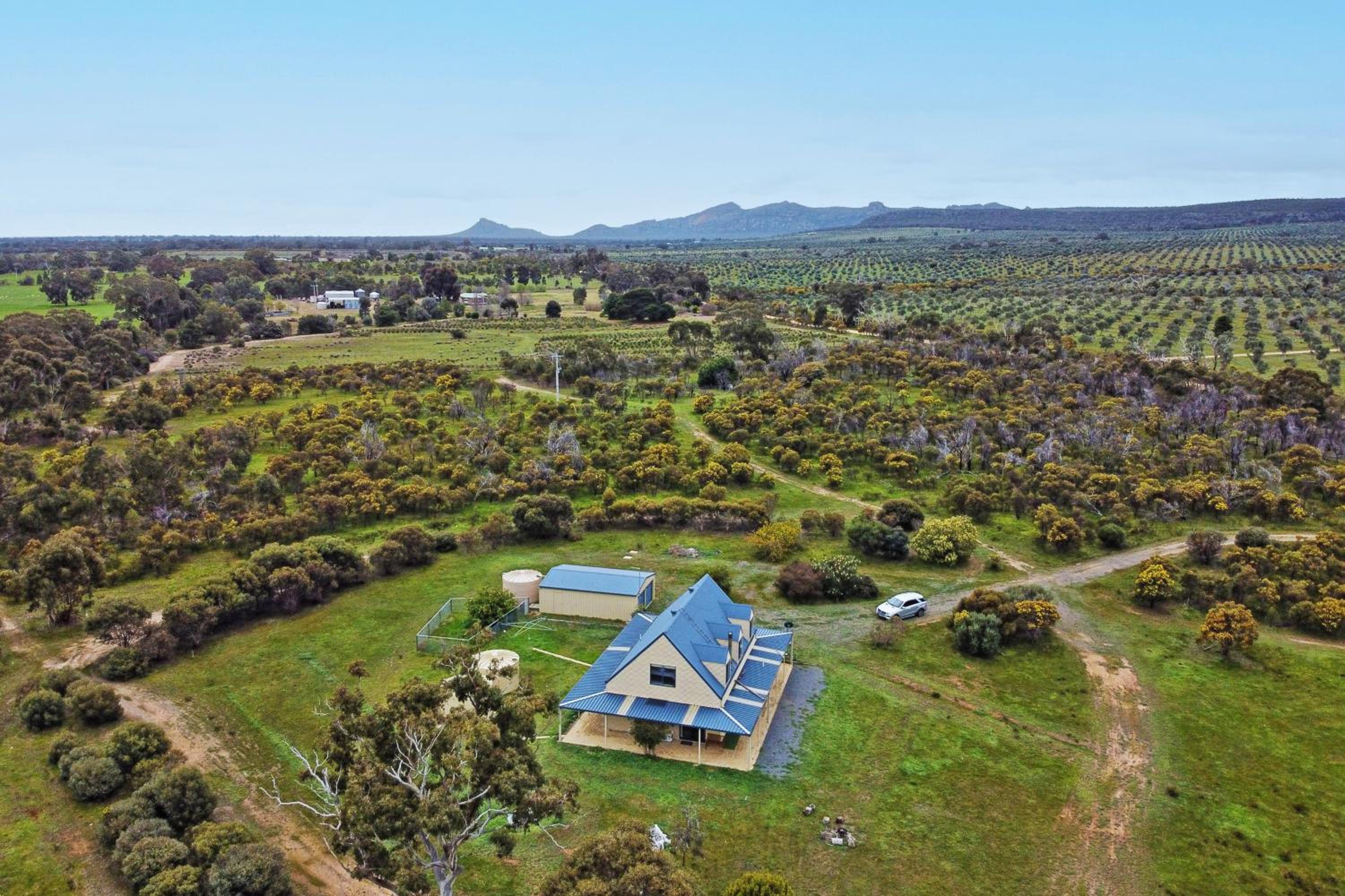 Morningside farm house with Mountian views...