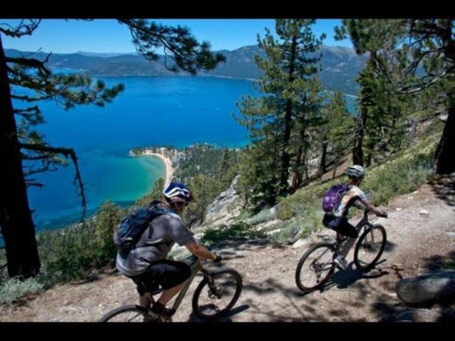 Lake Tahoe Vacations - Ultimate Luxury Residence with Extras Galore across from Heavenly Village Gondola - Zalanta Resort - Property Image 20