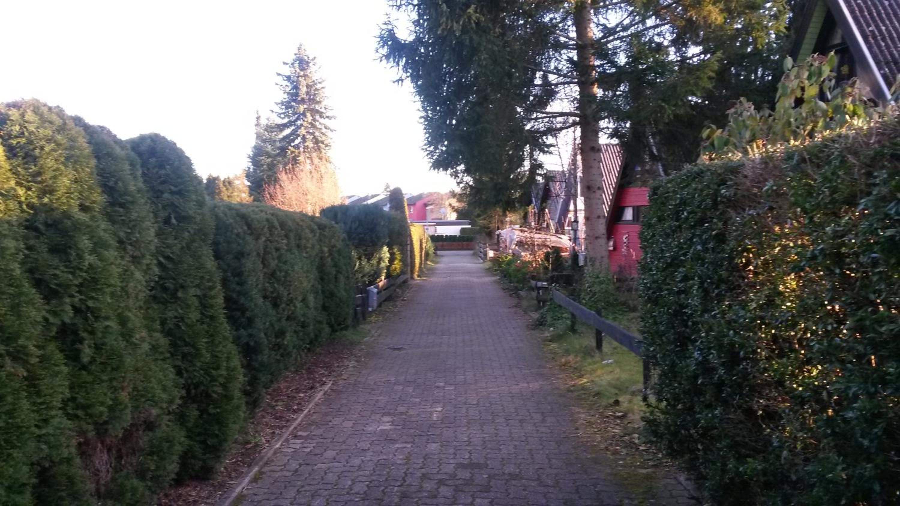 Nurdachhaus Ferienpark Schellbronn view 3