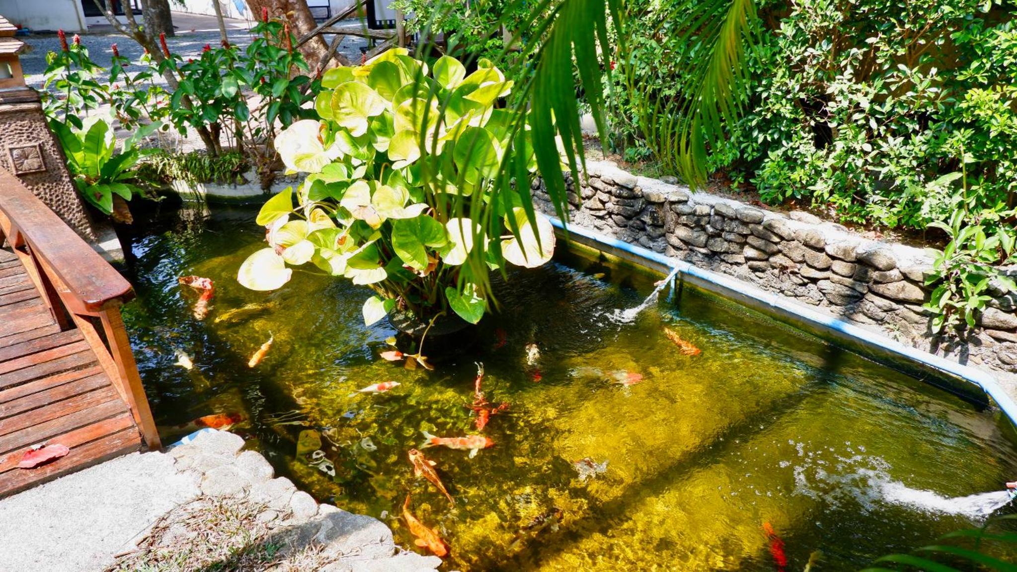 Garden Resort