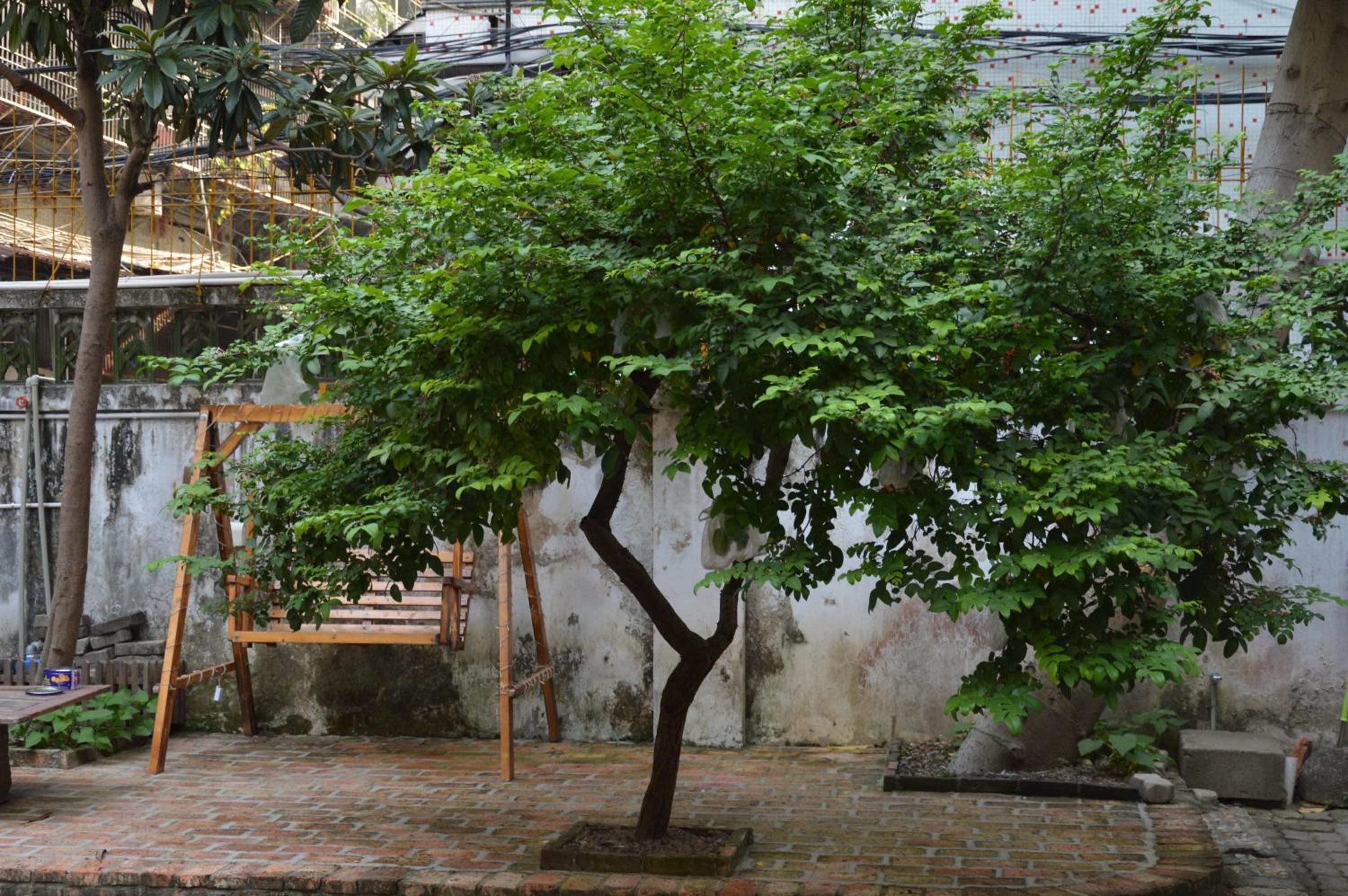 No. 6 Cuobian Hostel view 4