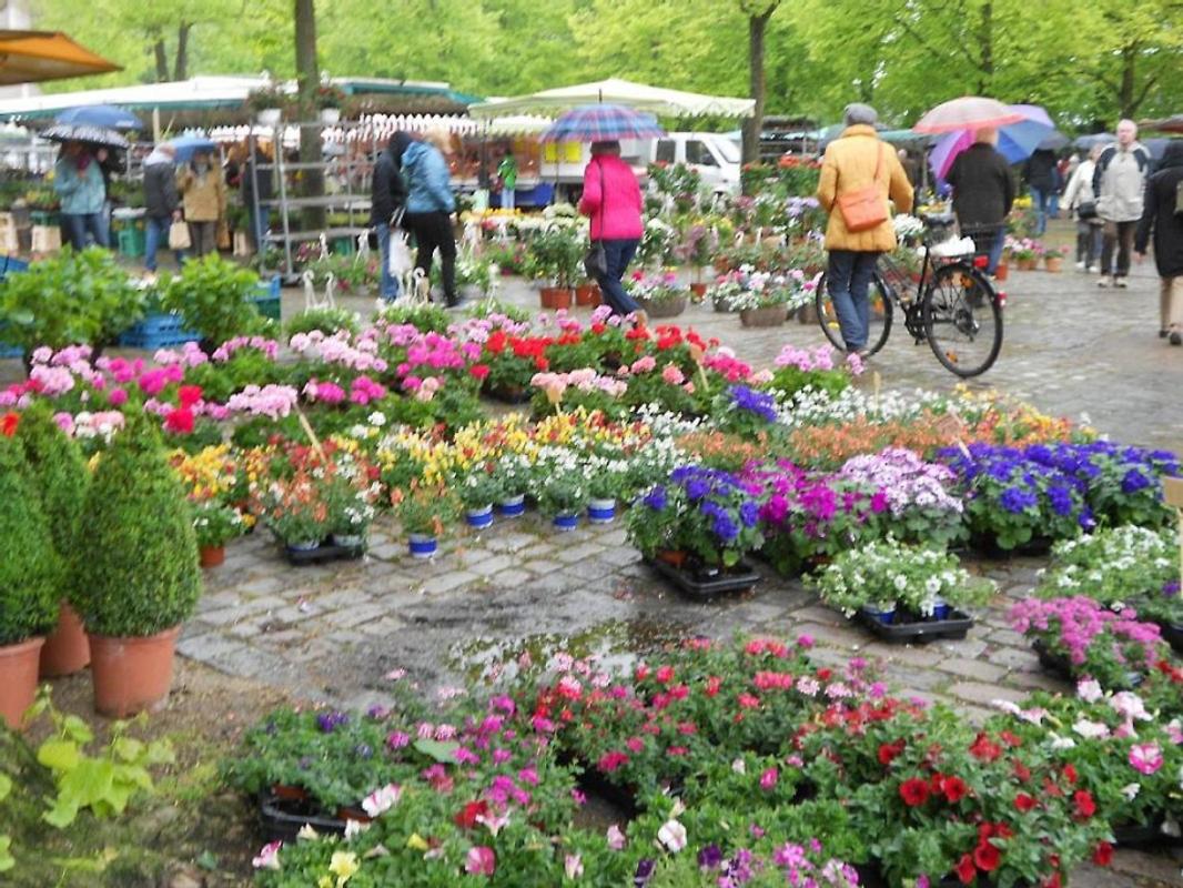 Ferienwohnung Strandoase Fledderweg