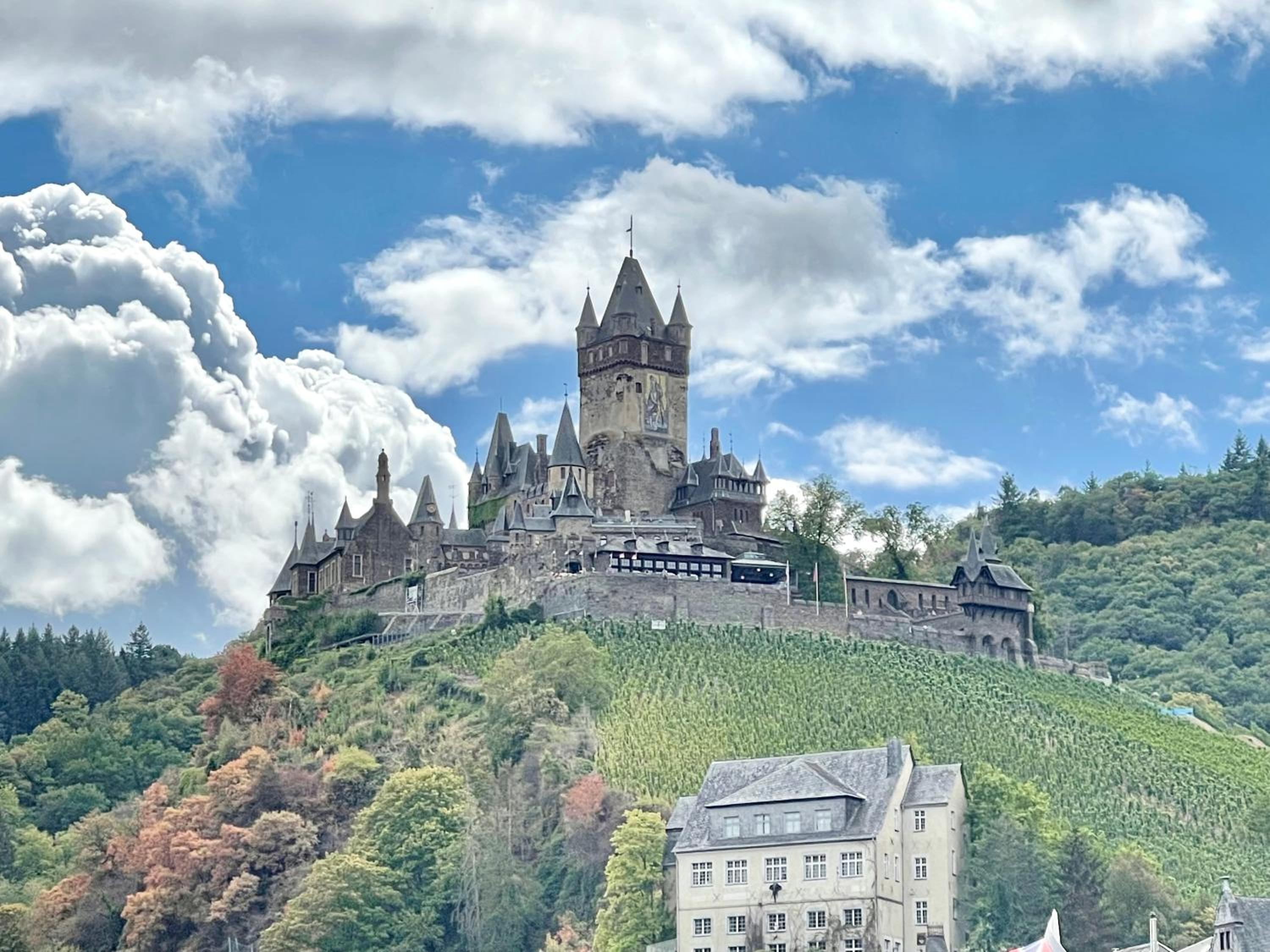 FeWo Mosel - Comfort & Relax