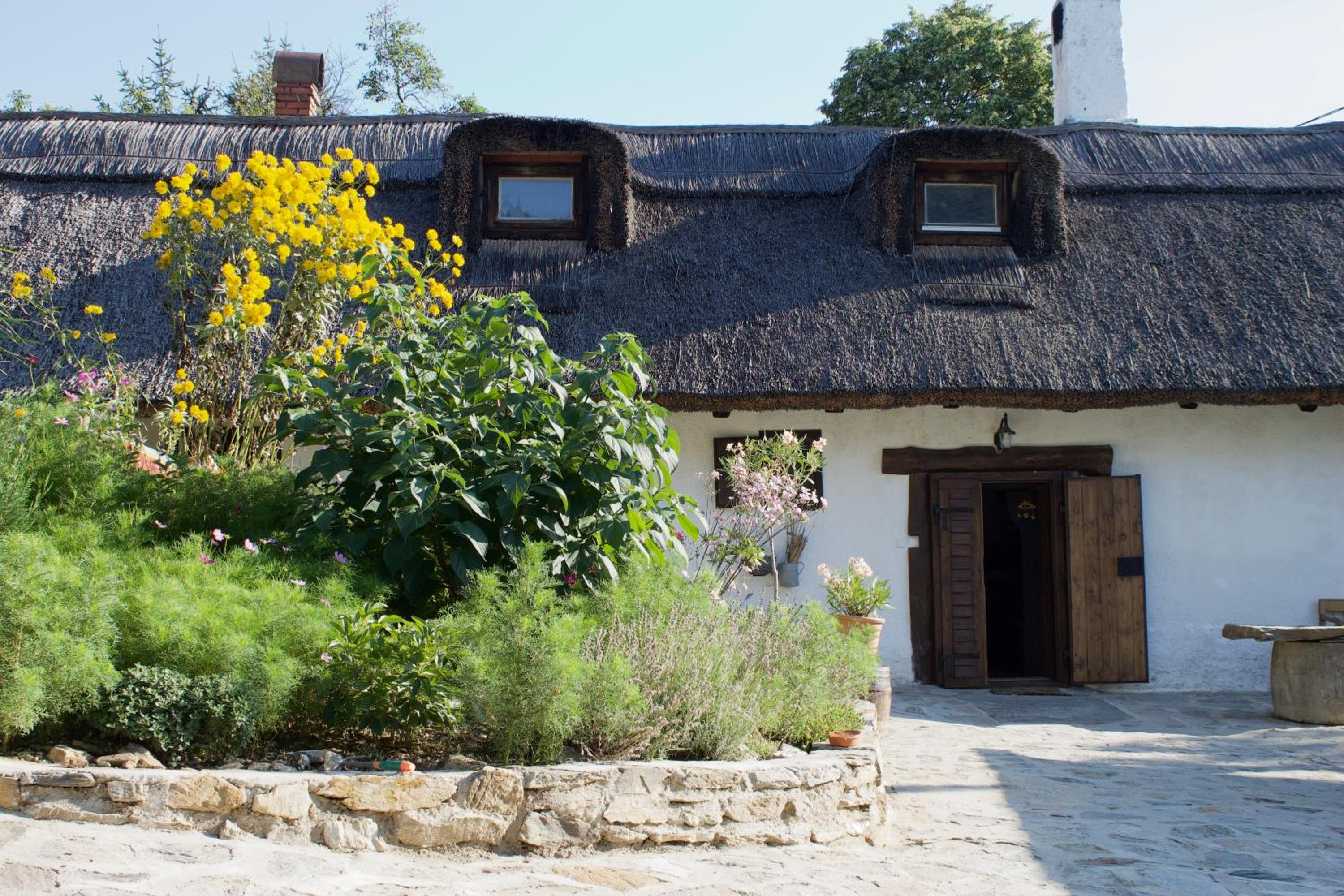 Sasfészek Pihenő view 2