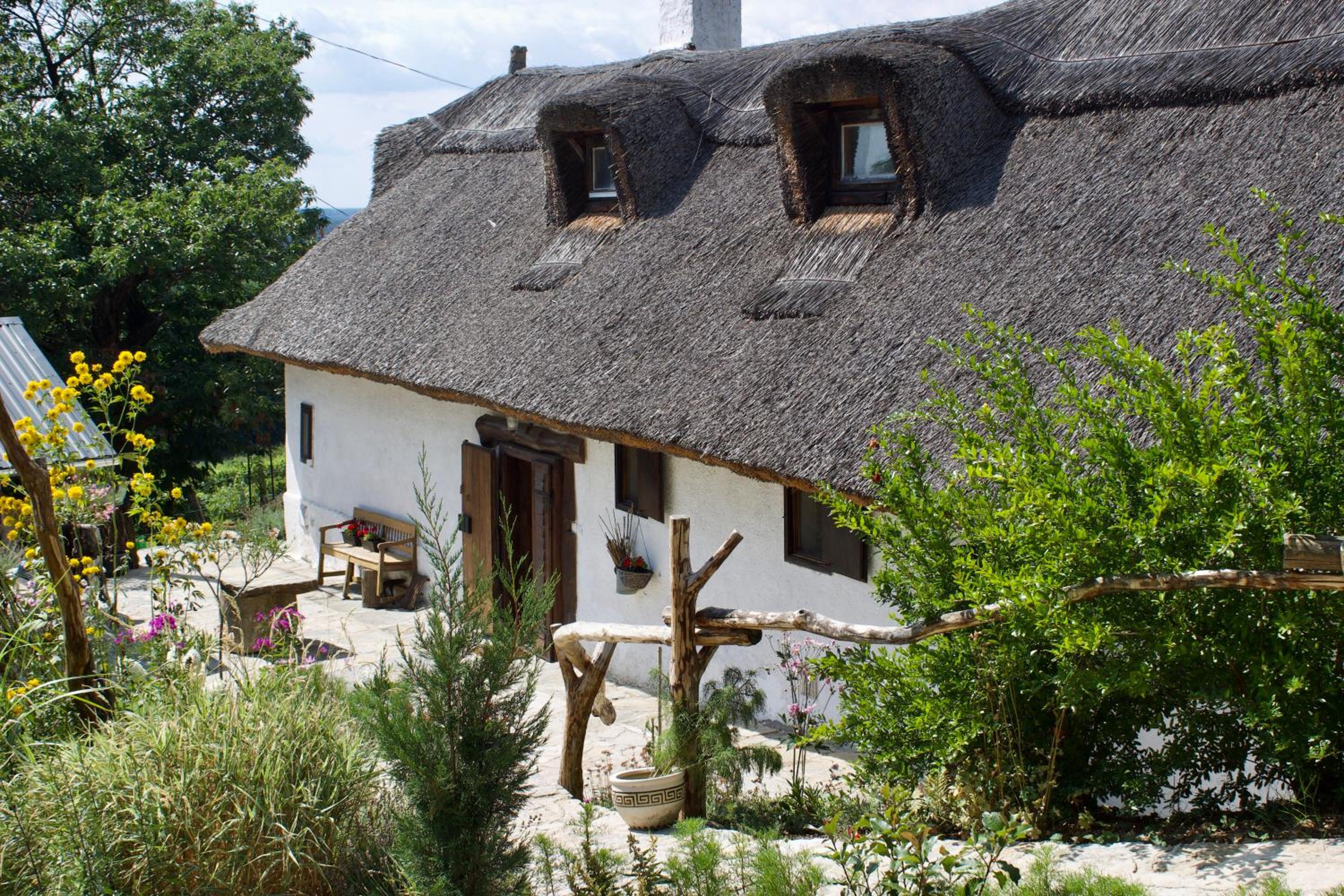 Sasfészek Pihenő view 5