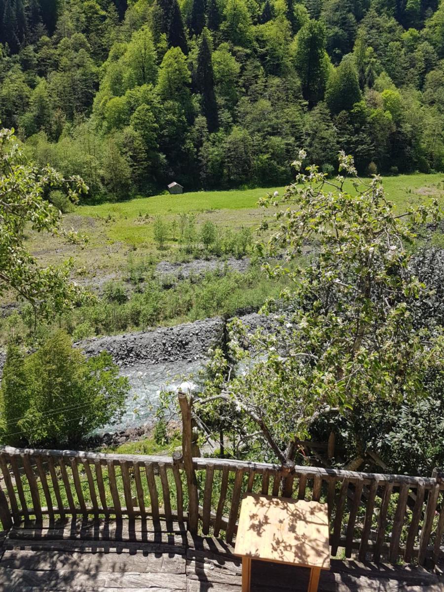 Photo 21