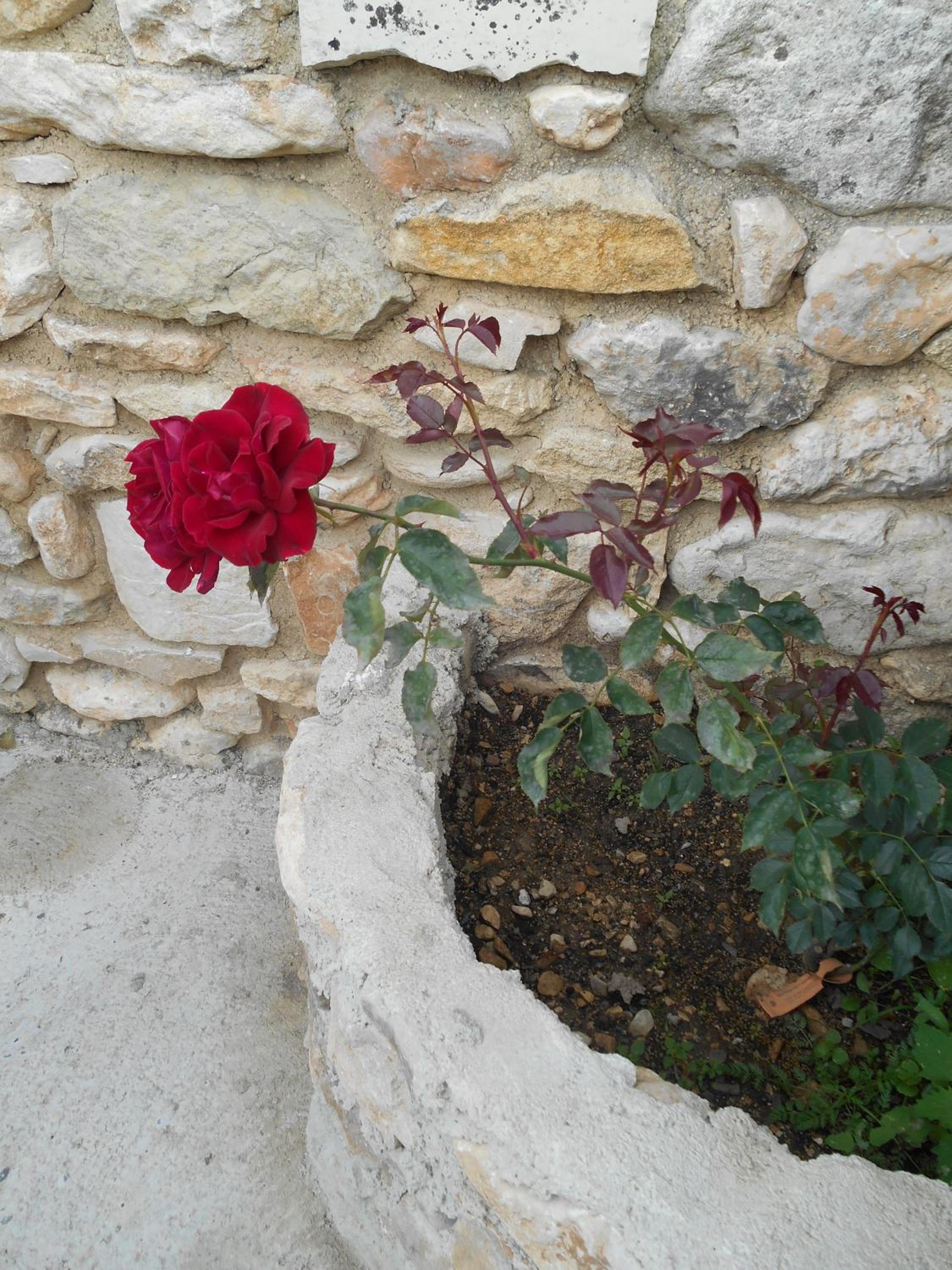Photo 21