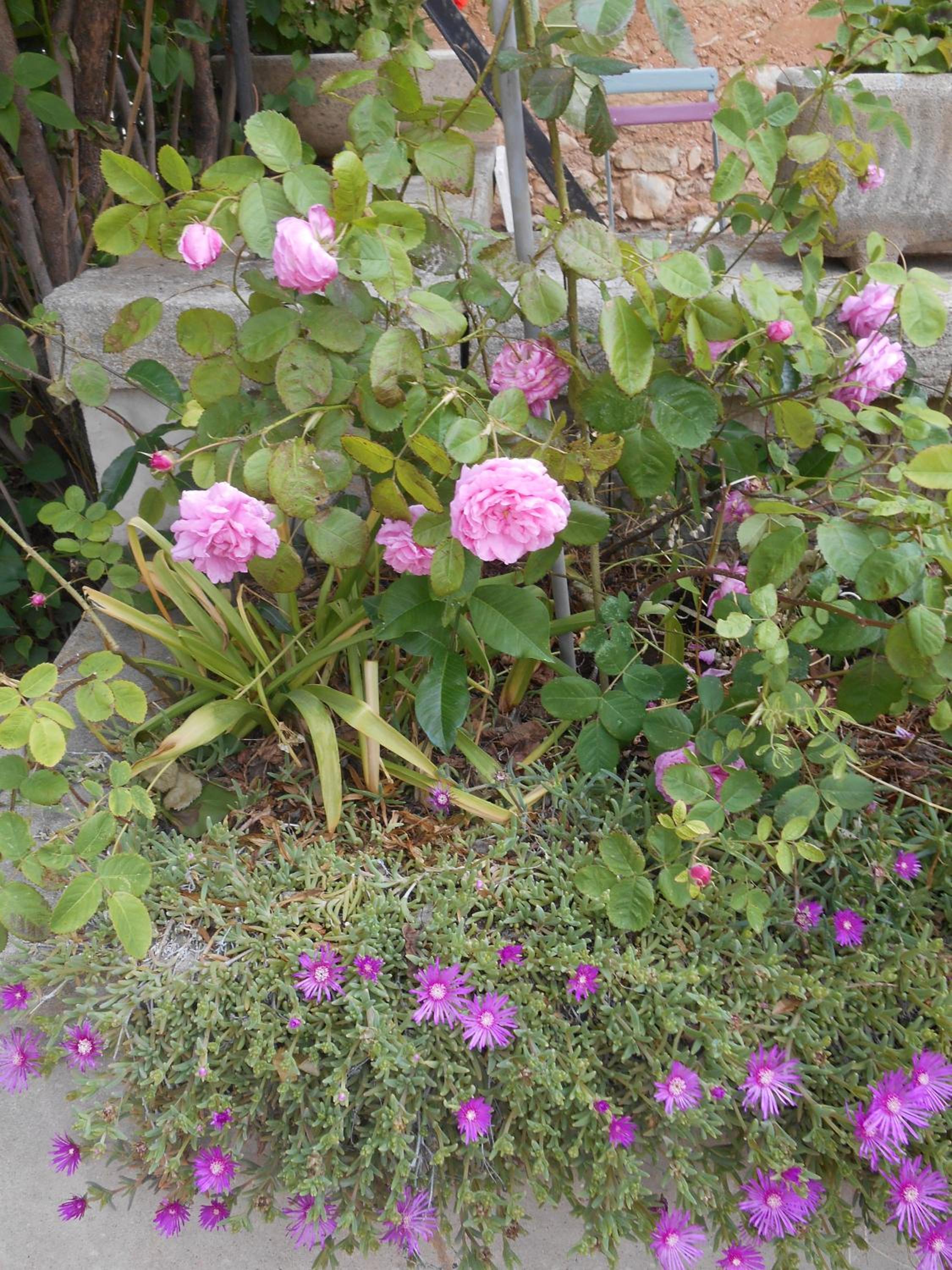 Photo 24