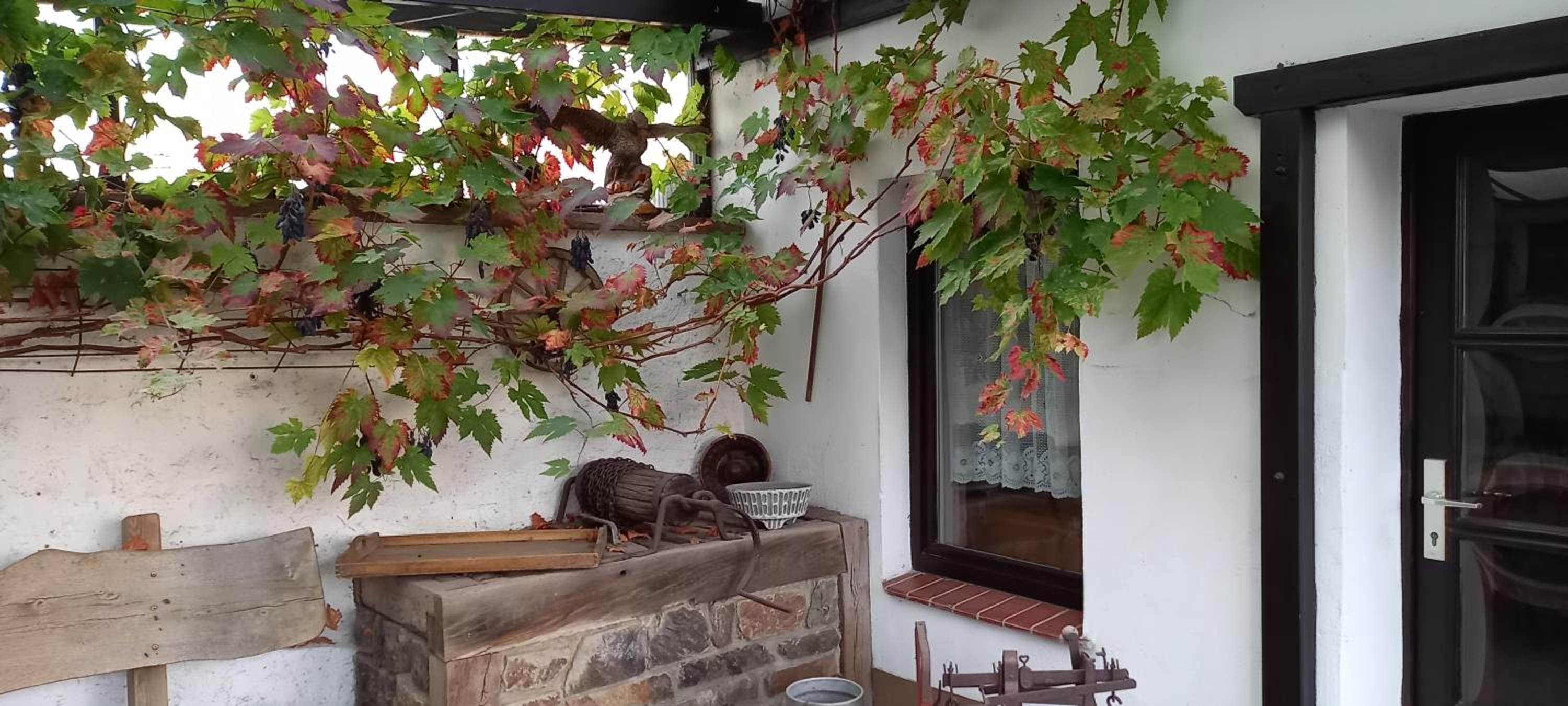 Hofappartements Flechtingen
