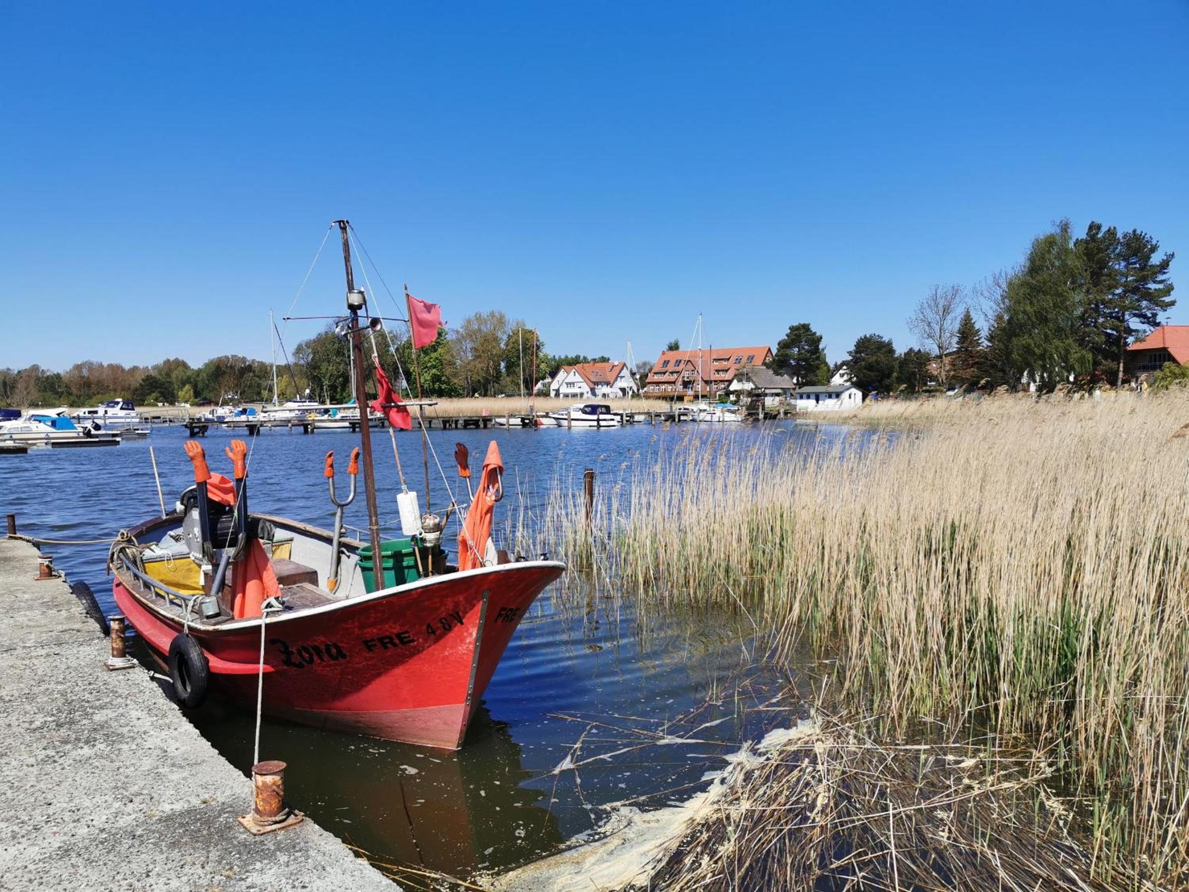 Ziemitz, Paradies am Peenestrom