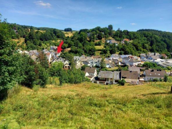 Eifel Duitsland fraai vakantiehuis met tuin