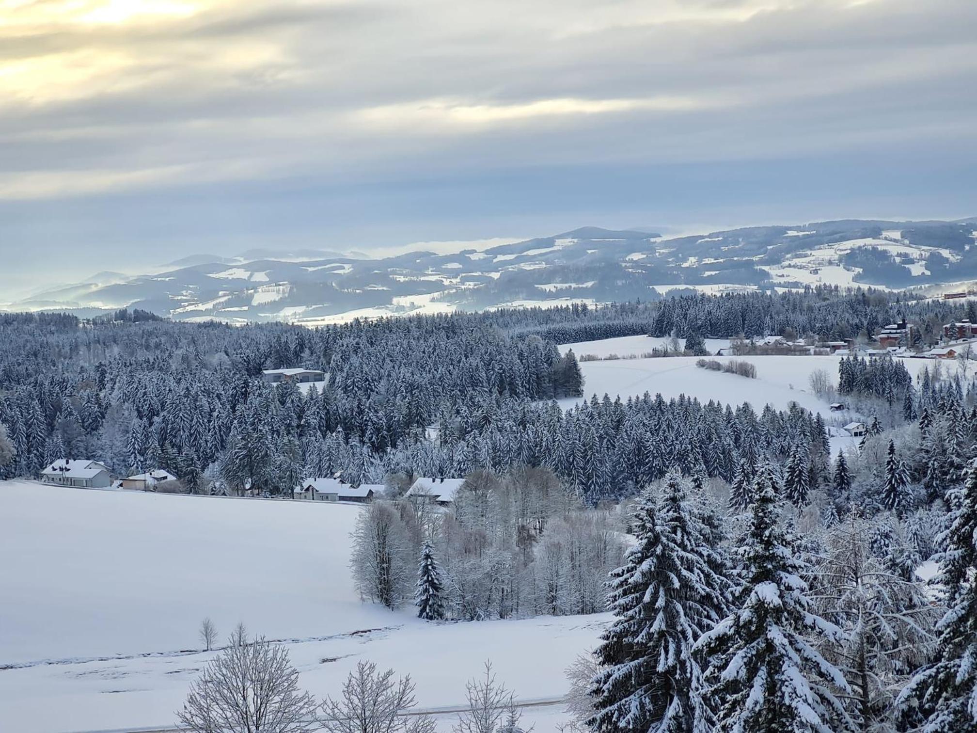 Panorama Bayerwald