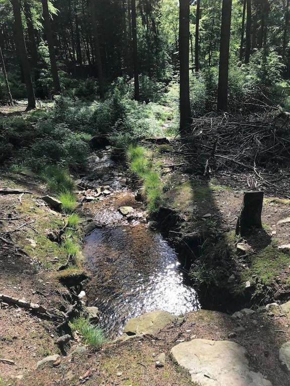 Ferienhaus mit Sauna, Wintergarten und Terrasse im schönen Hochtaunus