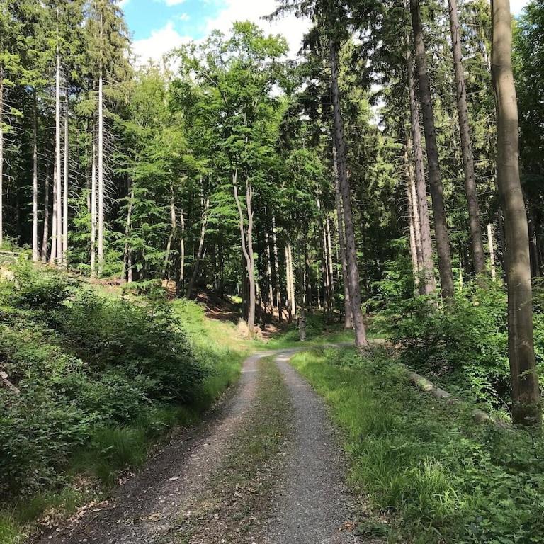 Ferienhaus mit Sauna, Wintergarten und Terrasse im schönen Hochtaunus
