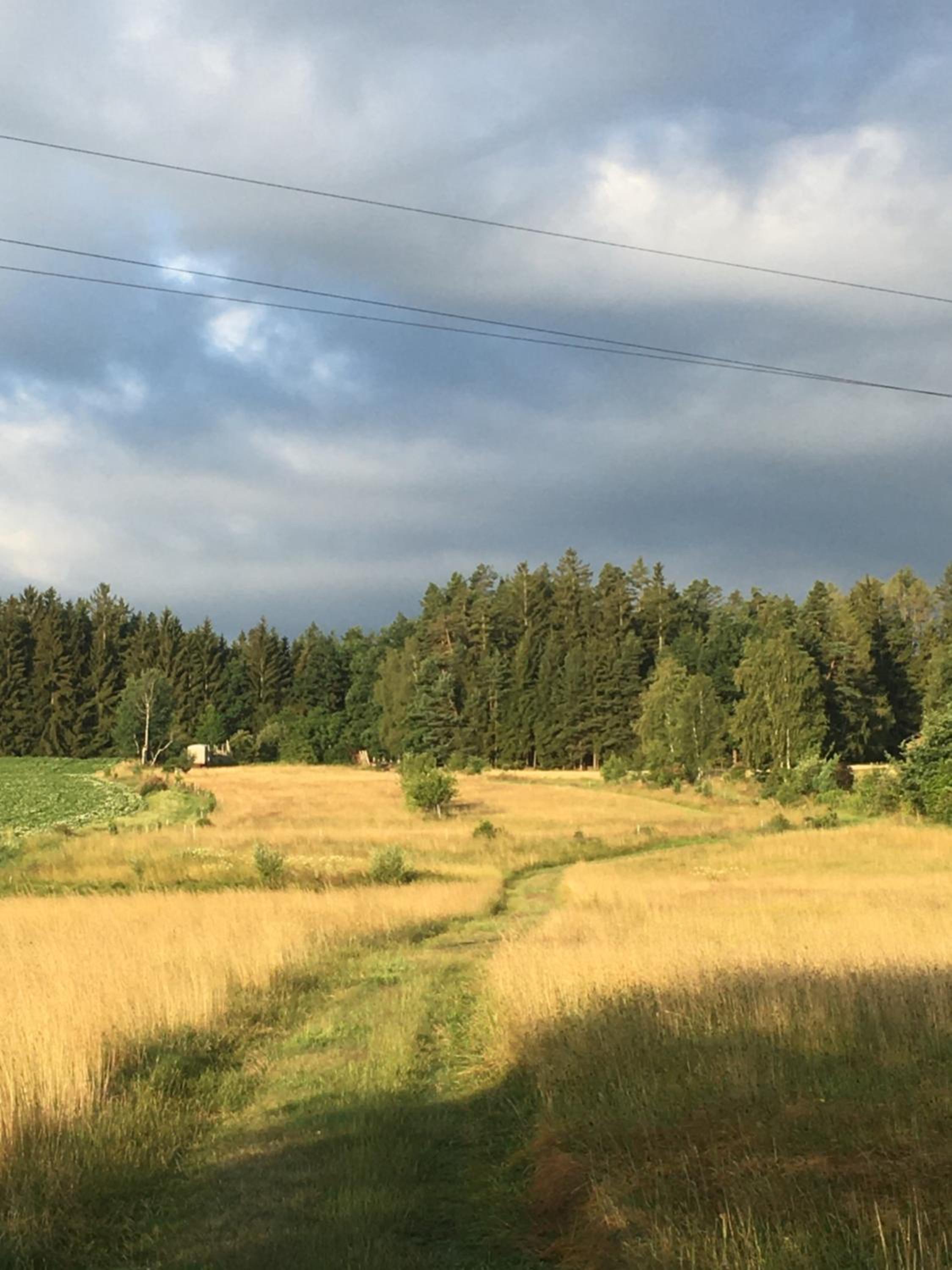 Einzigartige Ferienwohnungen mit 3 und 2 Schlafzimmern