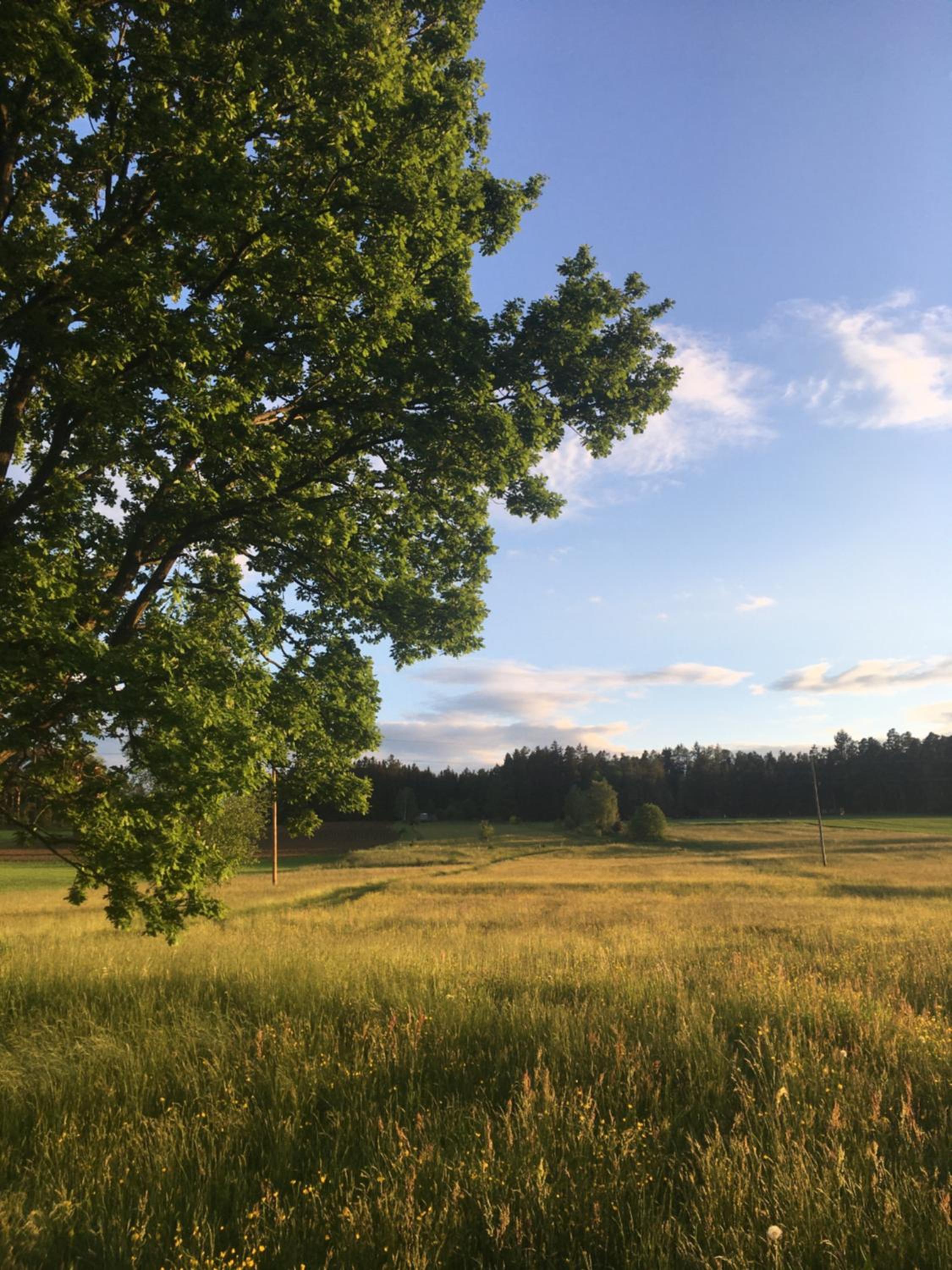 Einzigartige Ferienwohnungen mit 3 und 2 Schlafzimmern
