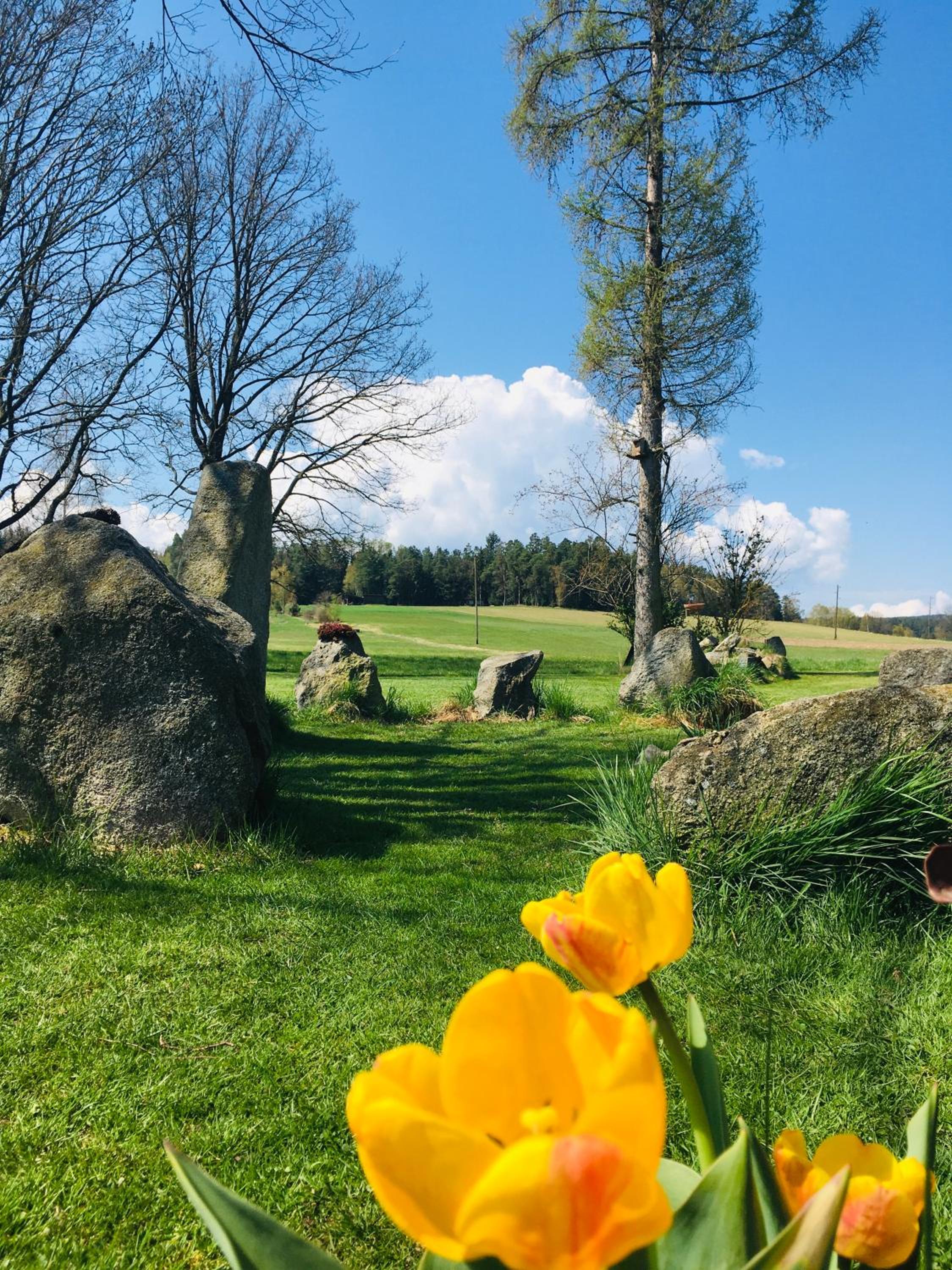 Einzigartige Ferienwohnungen mit 3 und 2 Schlafzimmern