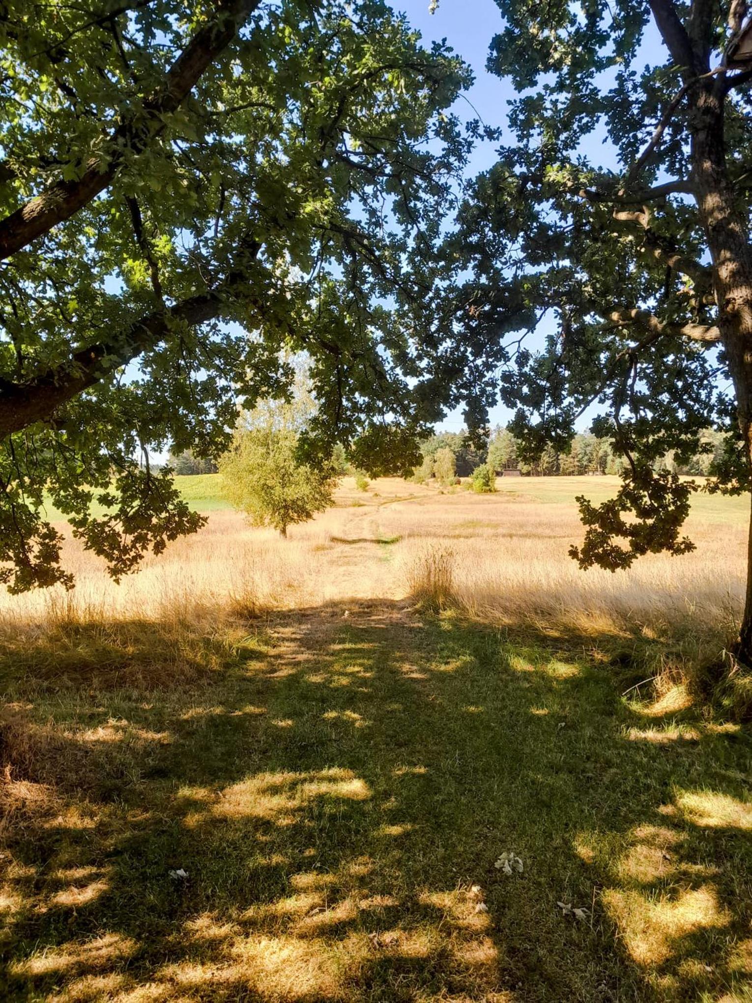 Einzigartige Ferienwohnungen mit 3 und 2 Schlafzimmern