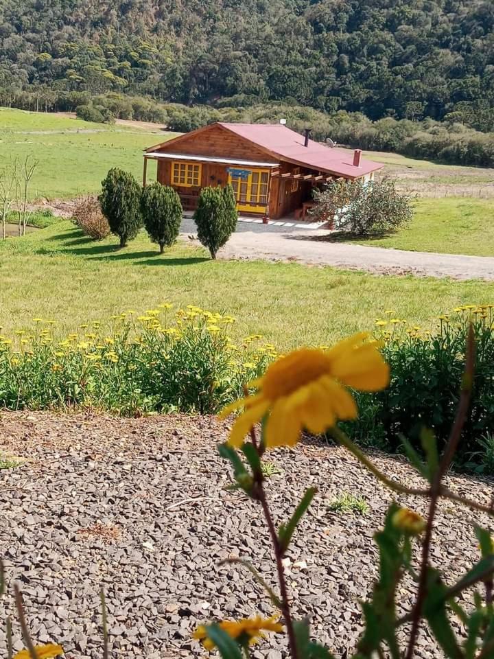 casa de Campo pousada Vila das Borboletas