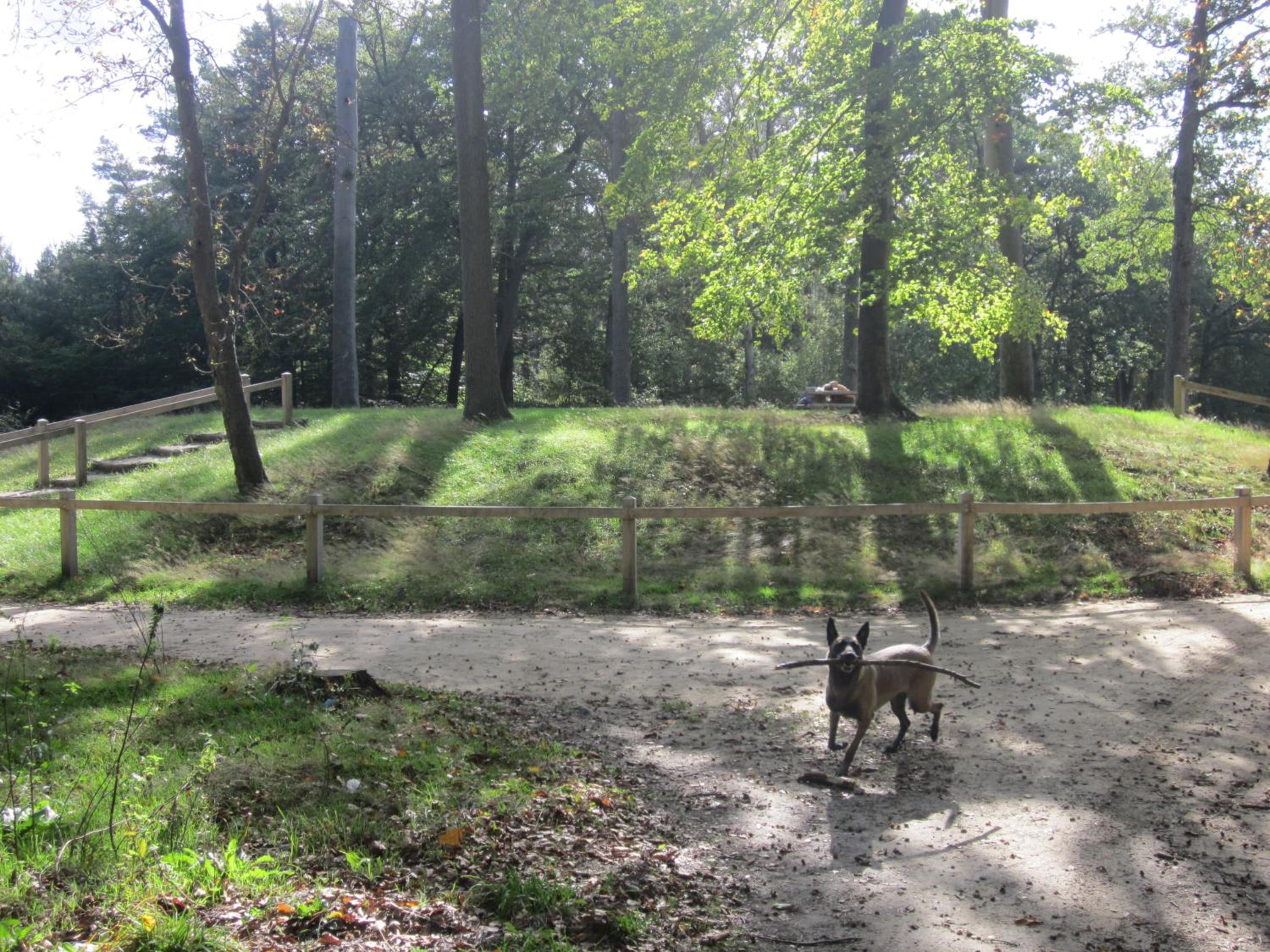 Huize Ruurlo view 4