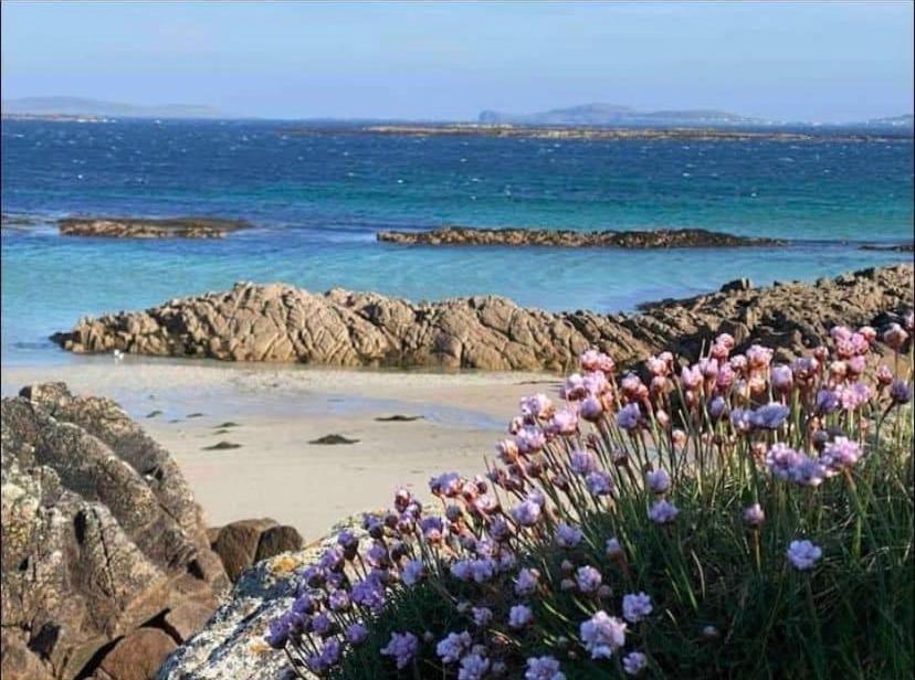 Drop Anchor House, Spacious 3 bedroom apartment, fabulous sea views view 5