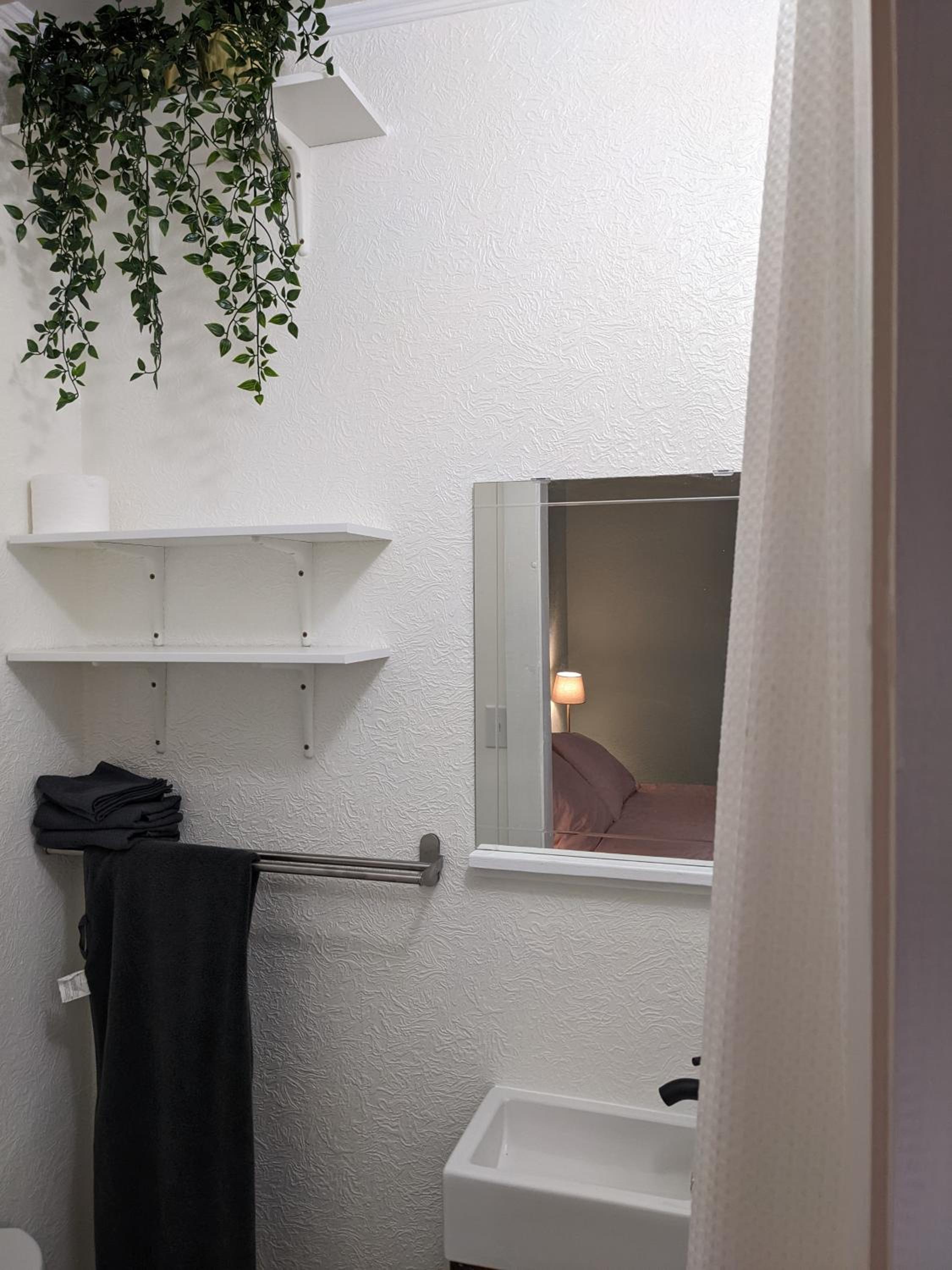 Pink Flamingo-4