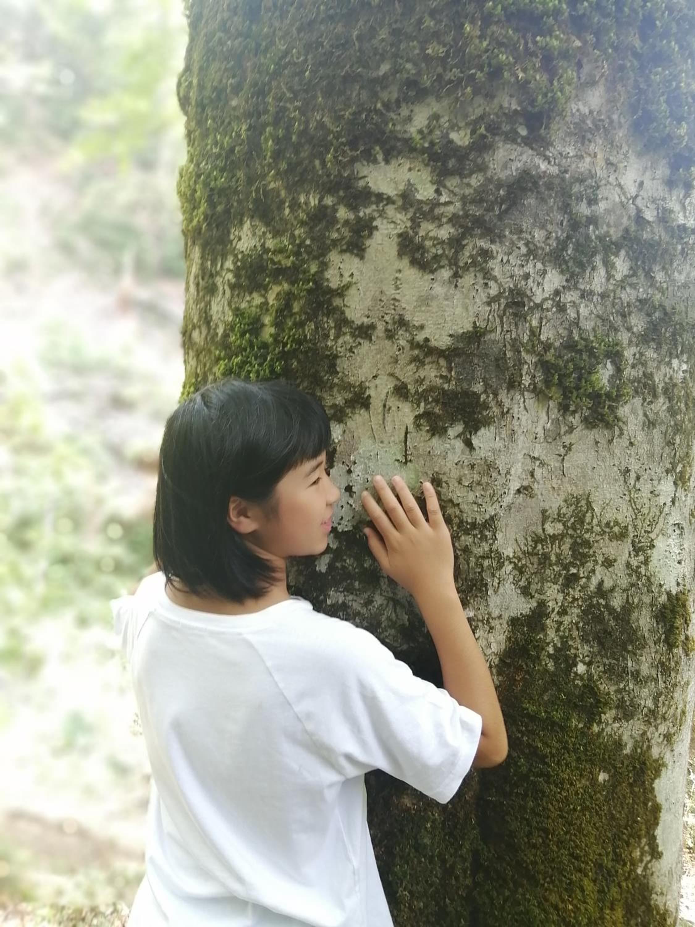Photo 44