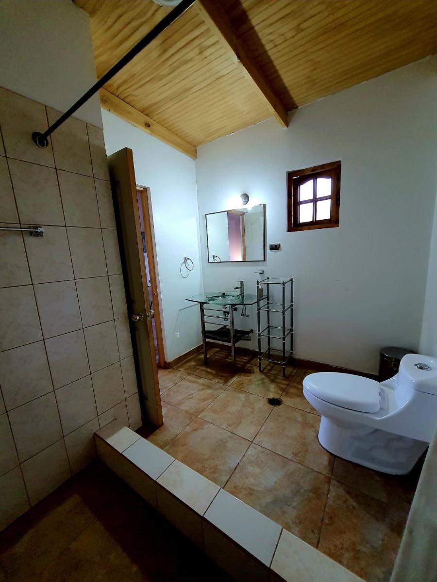 Photo 51