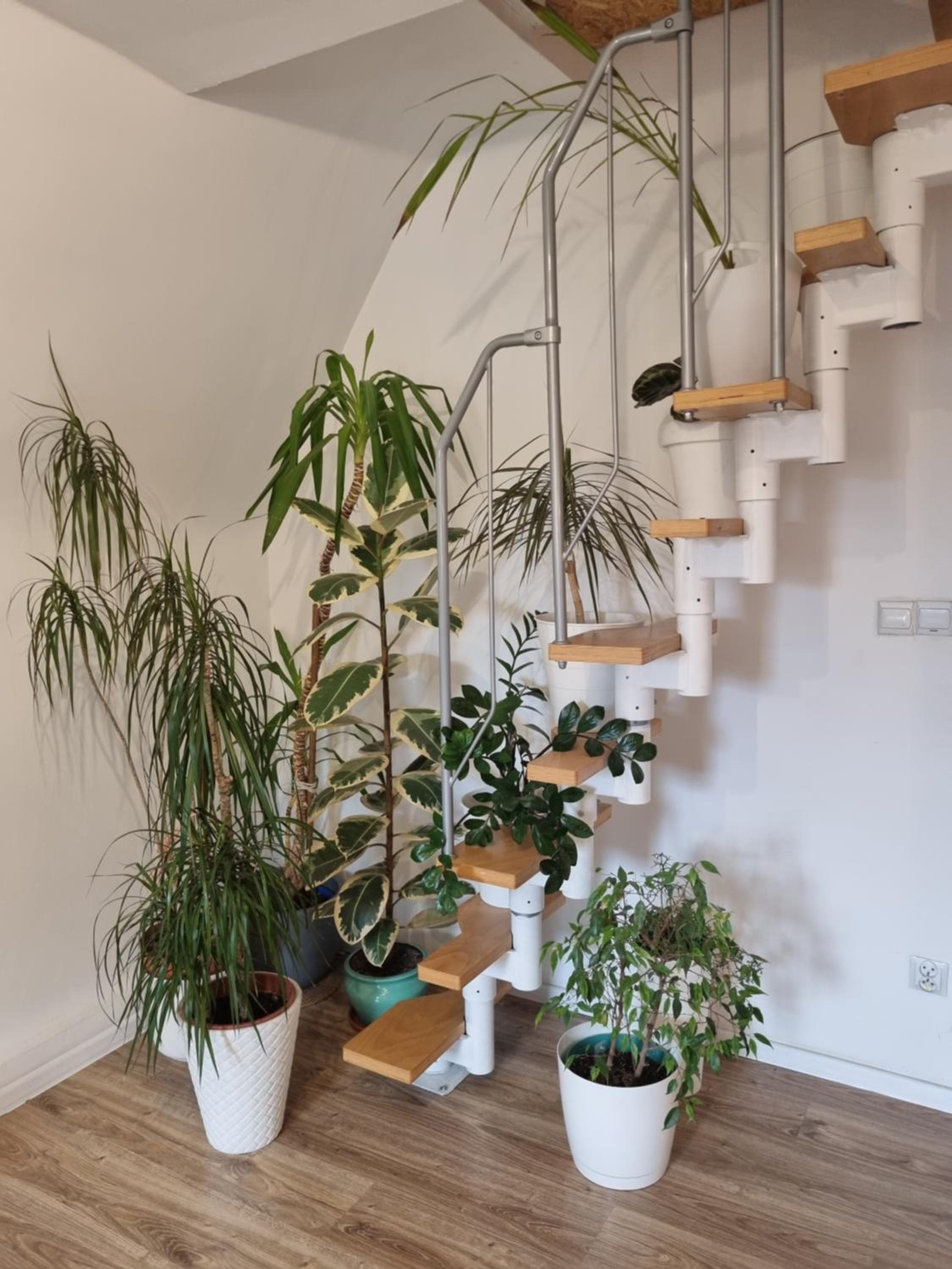 Apartament w Rynku view 4