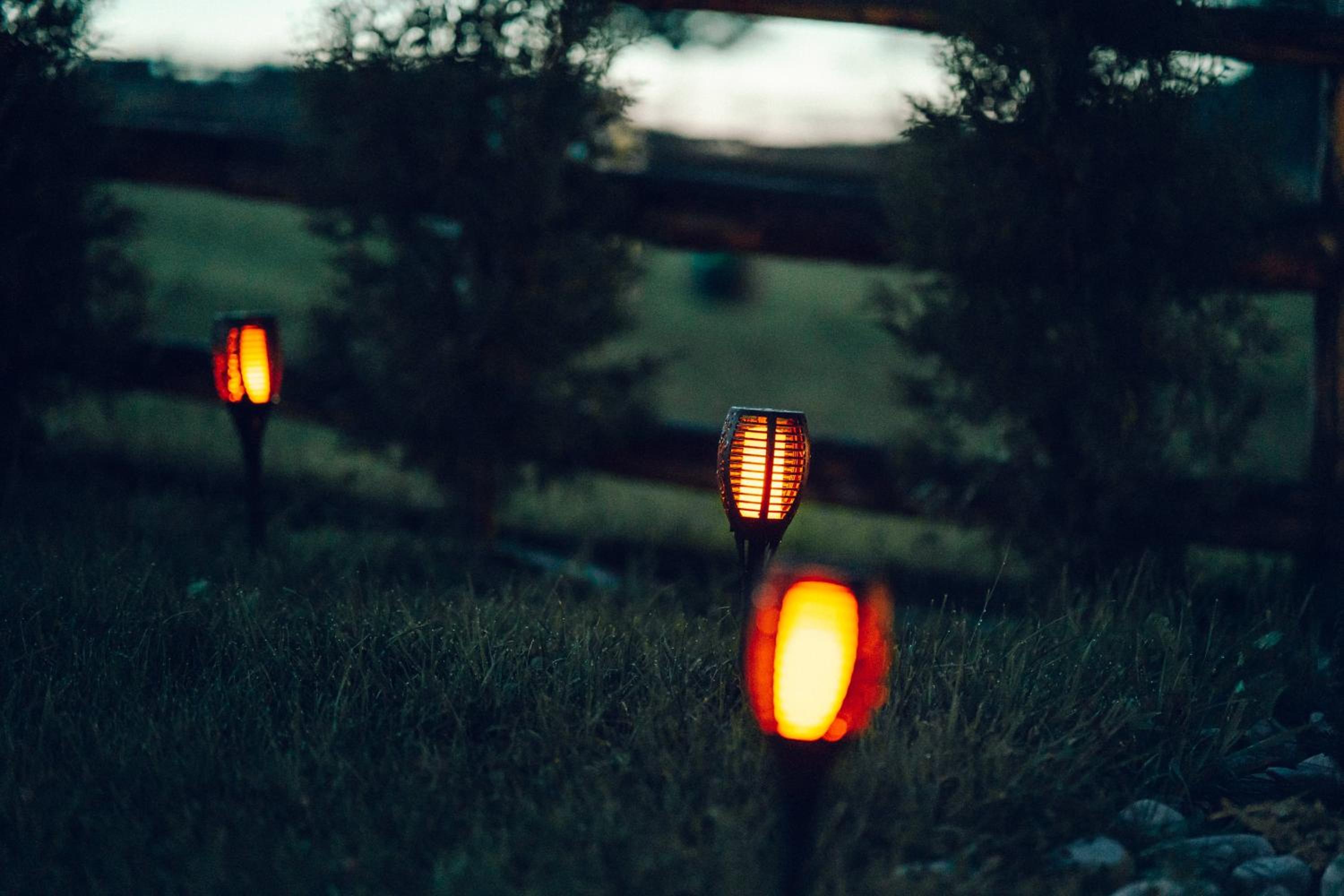 Photo 25