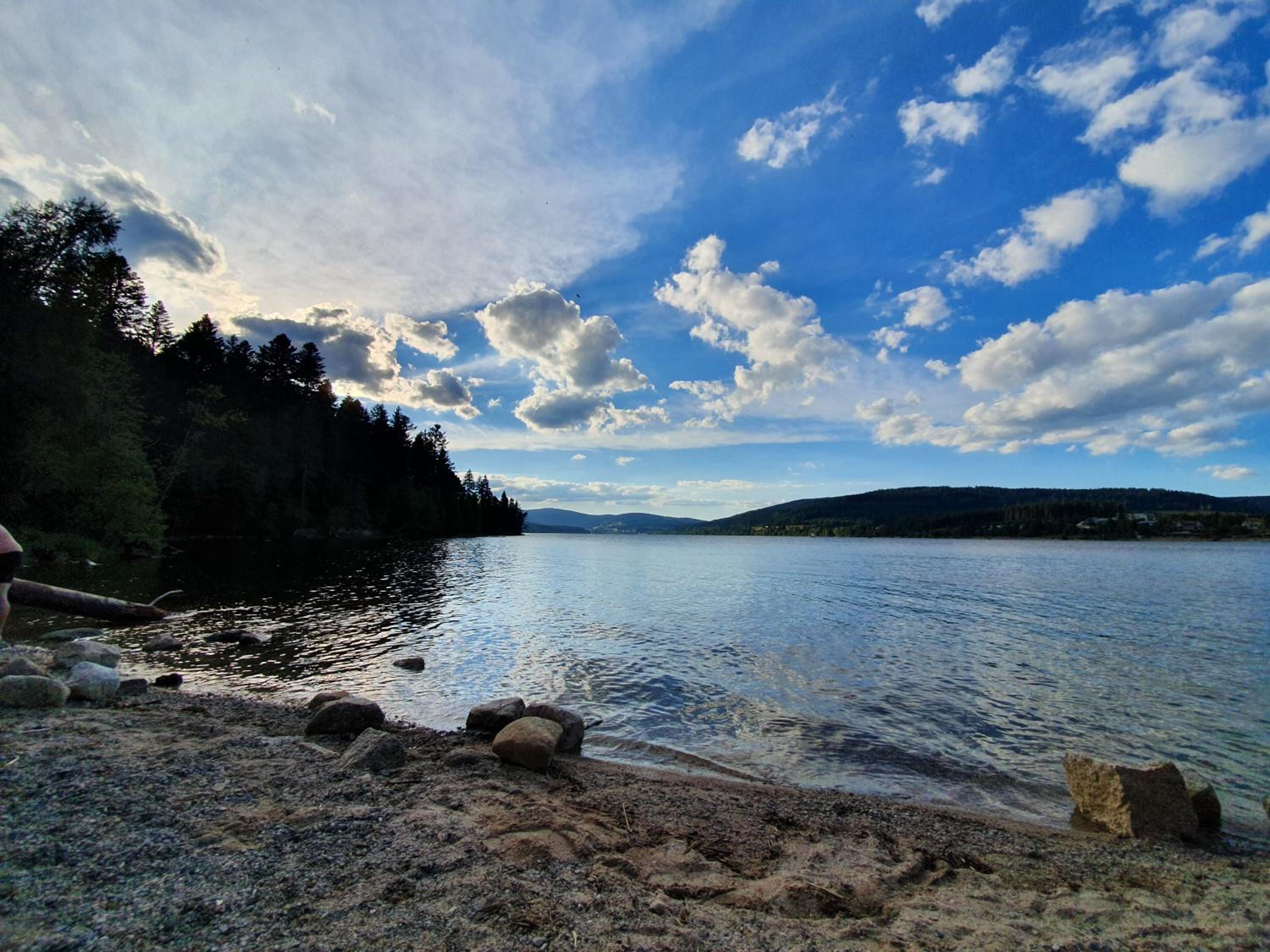 Photo 44