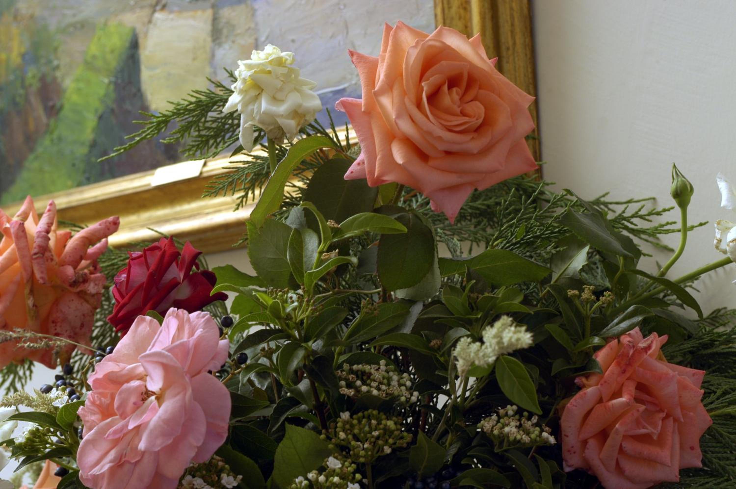 Photo 48