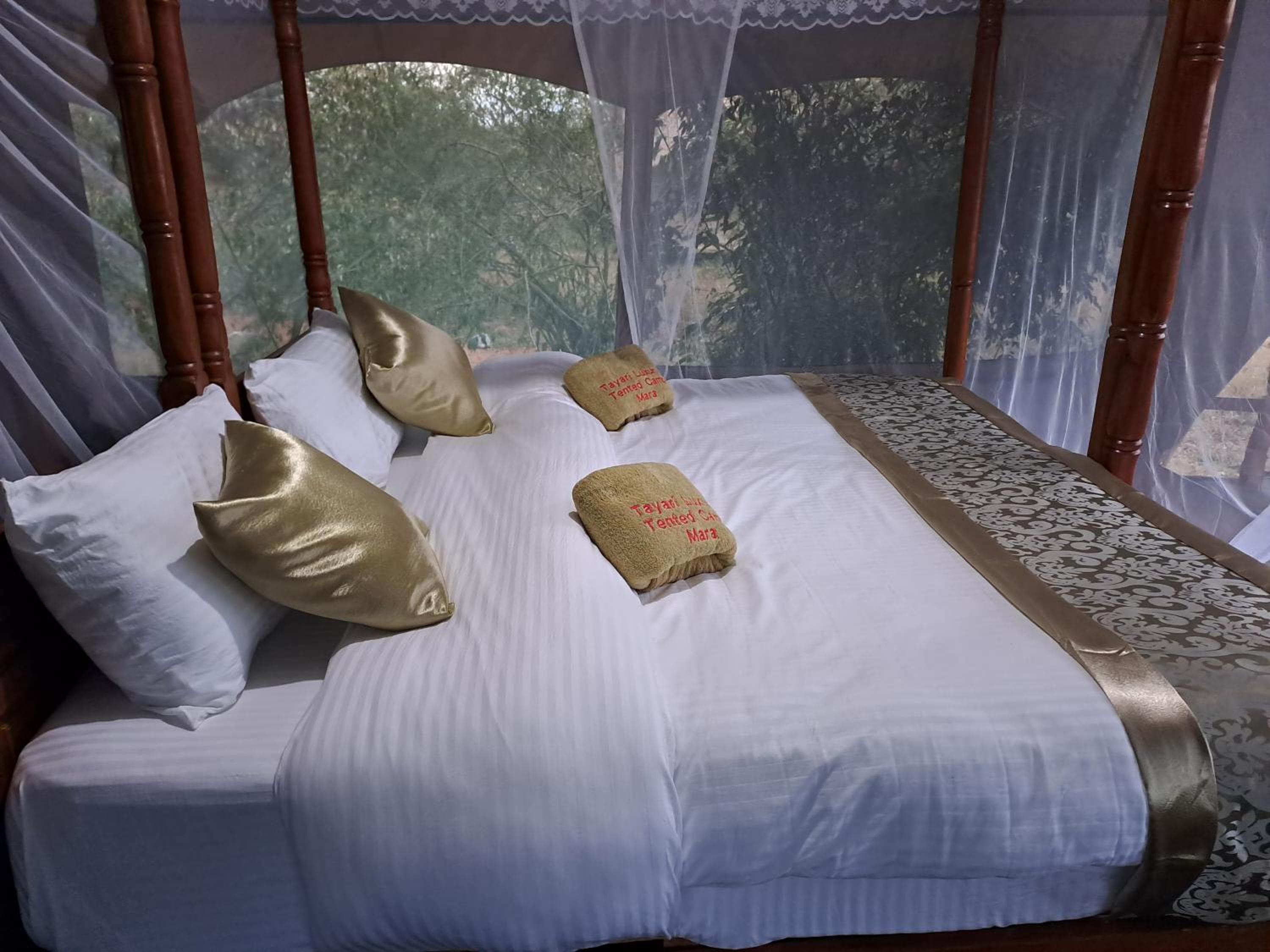 Tayari Luxury Tented Camp - Mara view 3