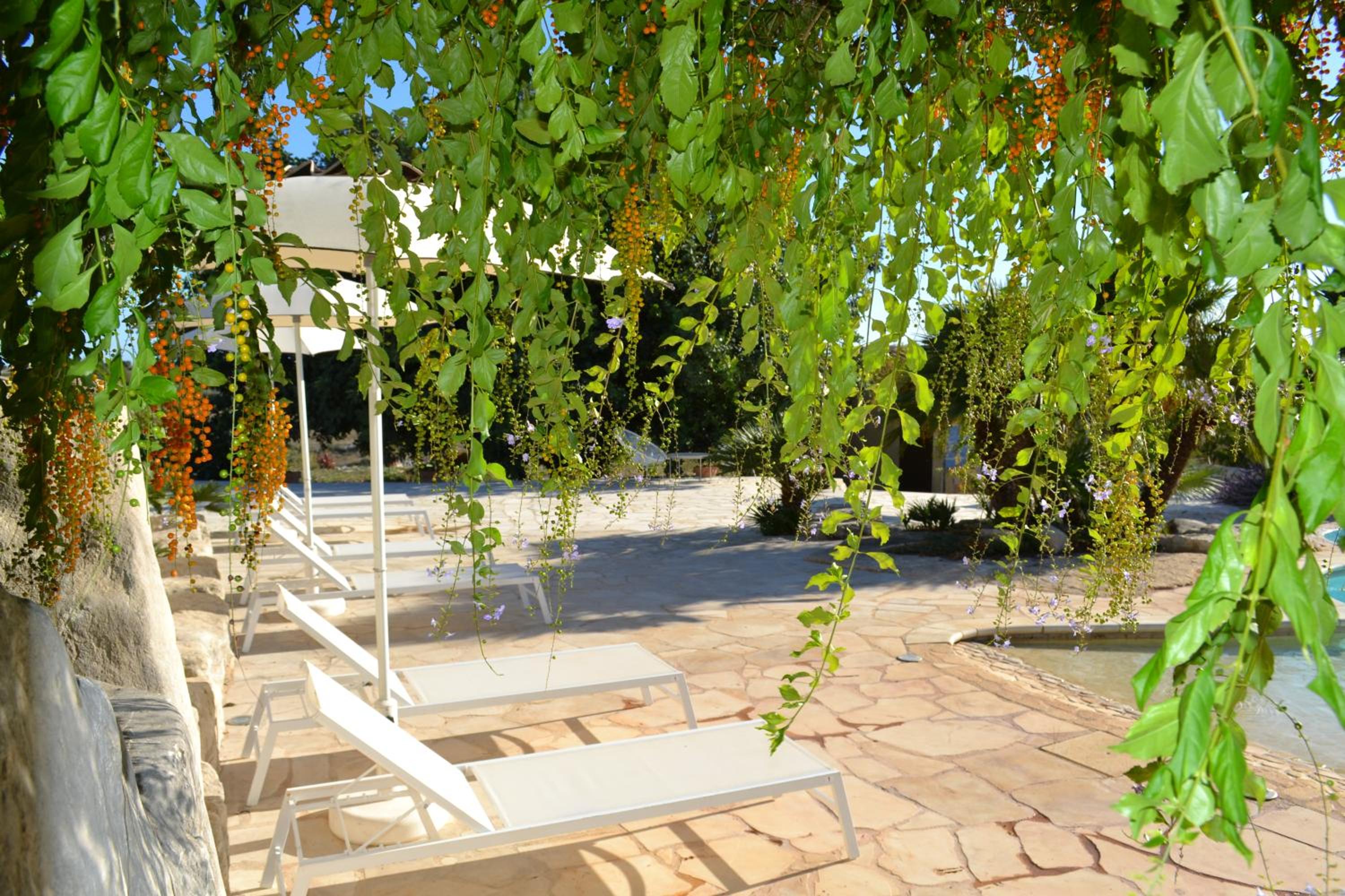 Antica Masseria Timparuci photo 3