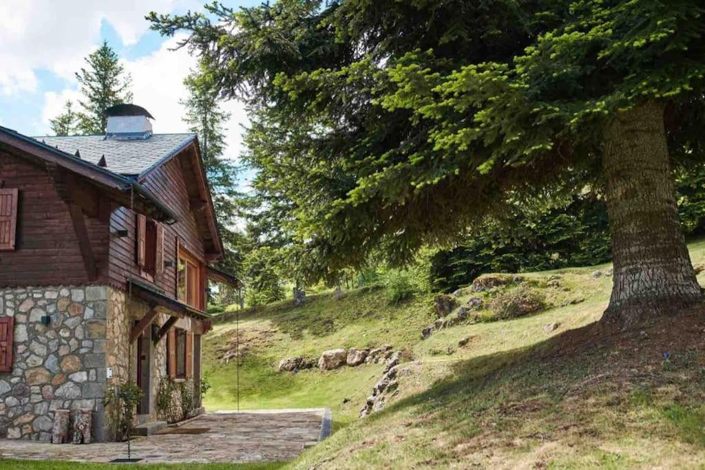 Casa Pyrenees - Slow Life Refuge view 4