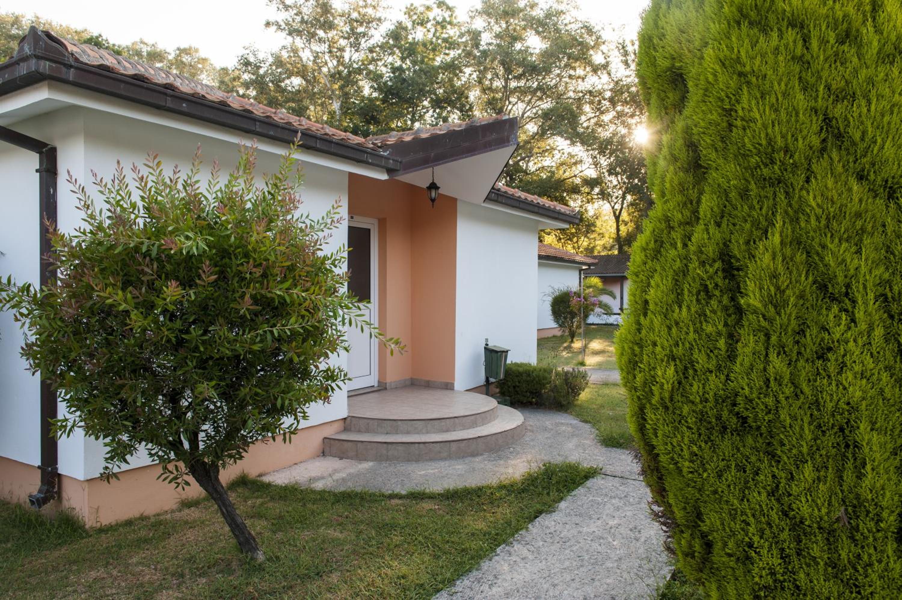 Photo 38