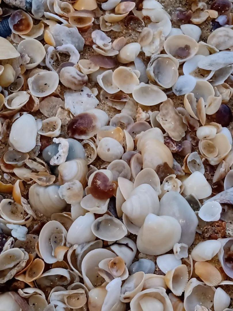 Pousada Pé na Areia