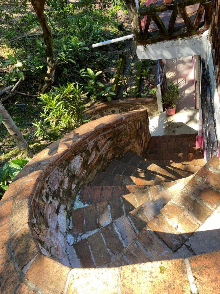 Photo 21