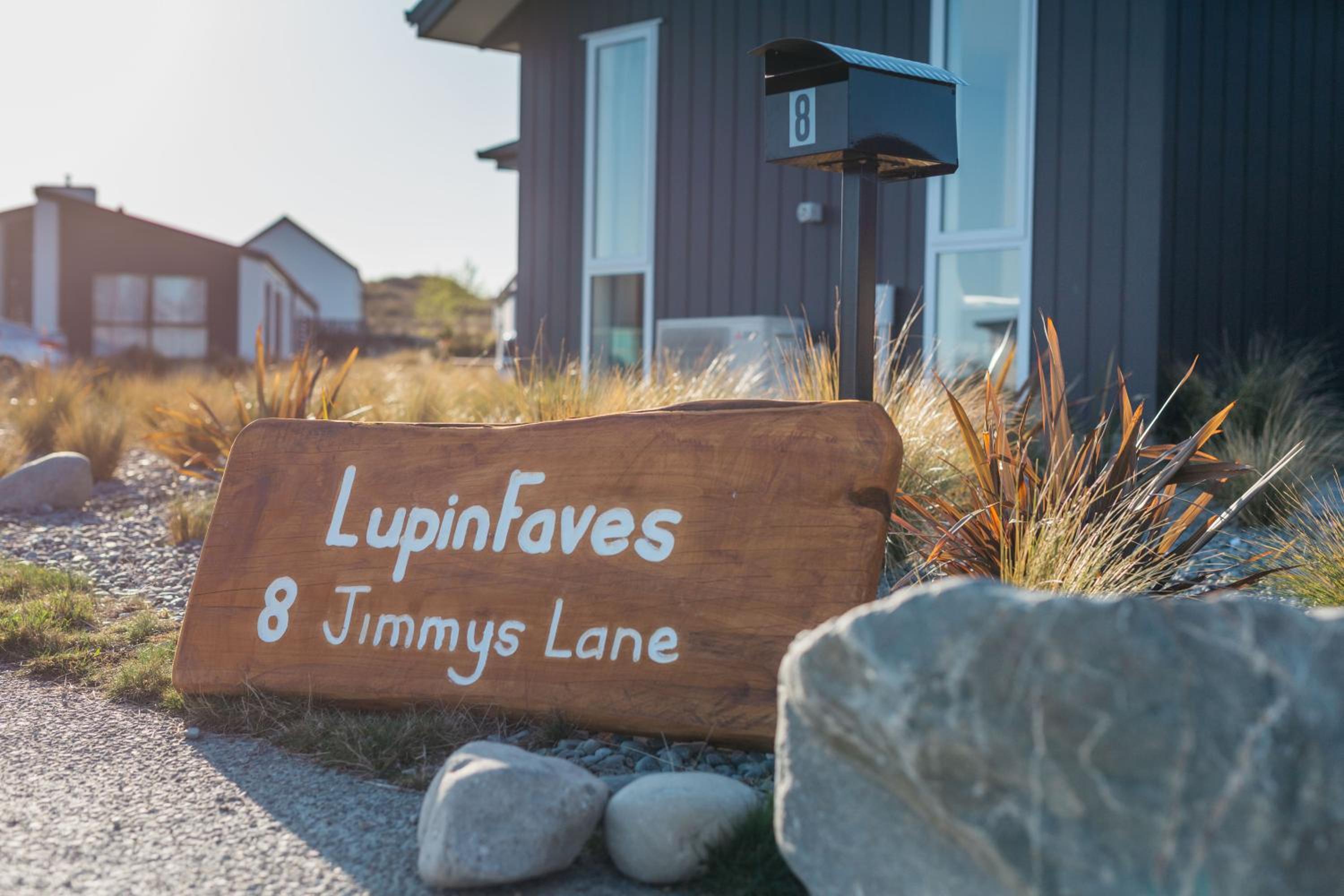 Lupin Faves Tekapo view 3