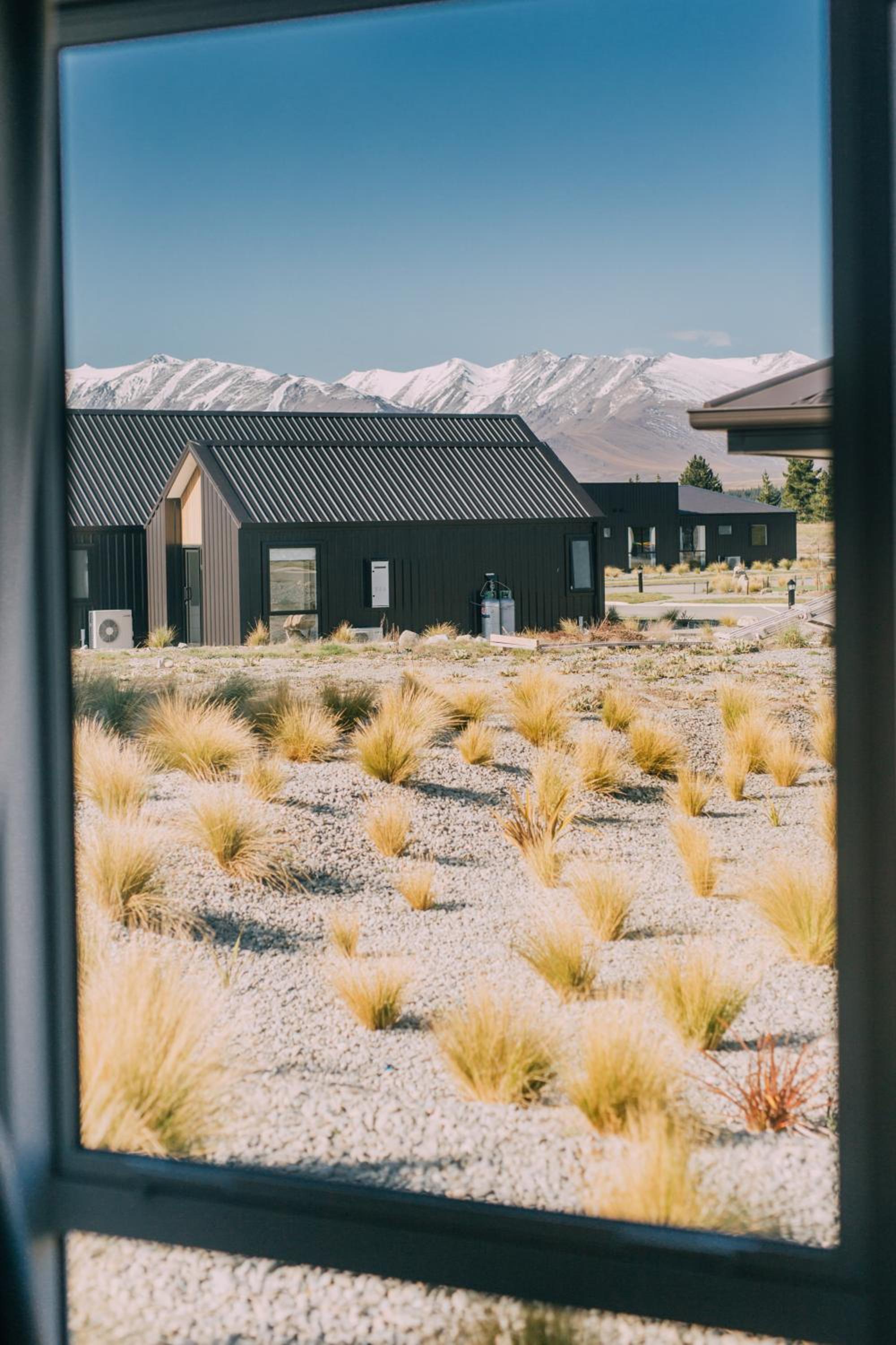 Lupin Faves Tekapo view 4