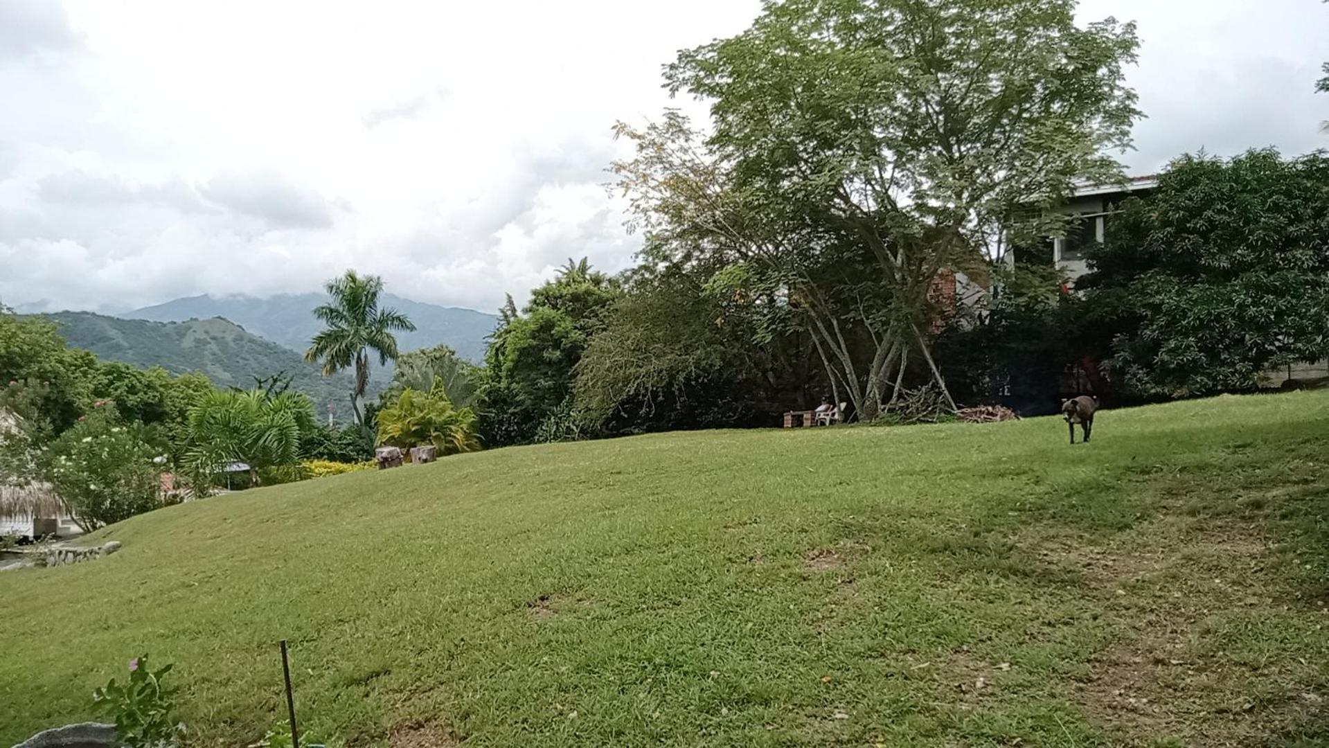Hostal finca Palermo