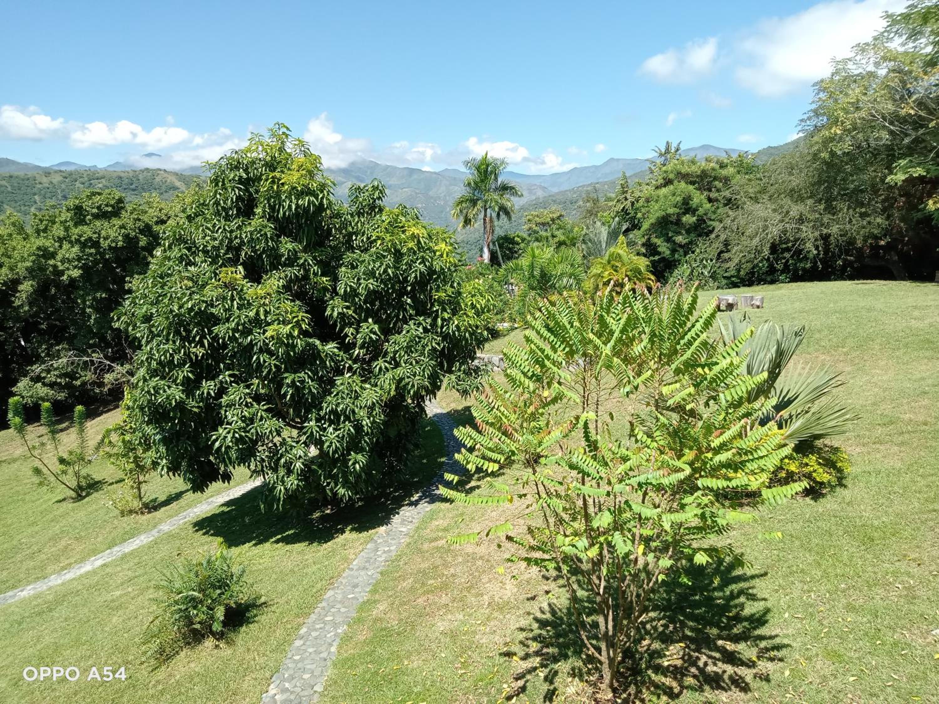 Hostal finca Palermo