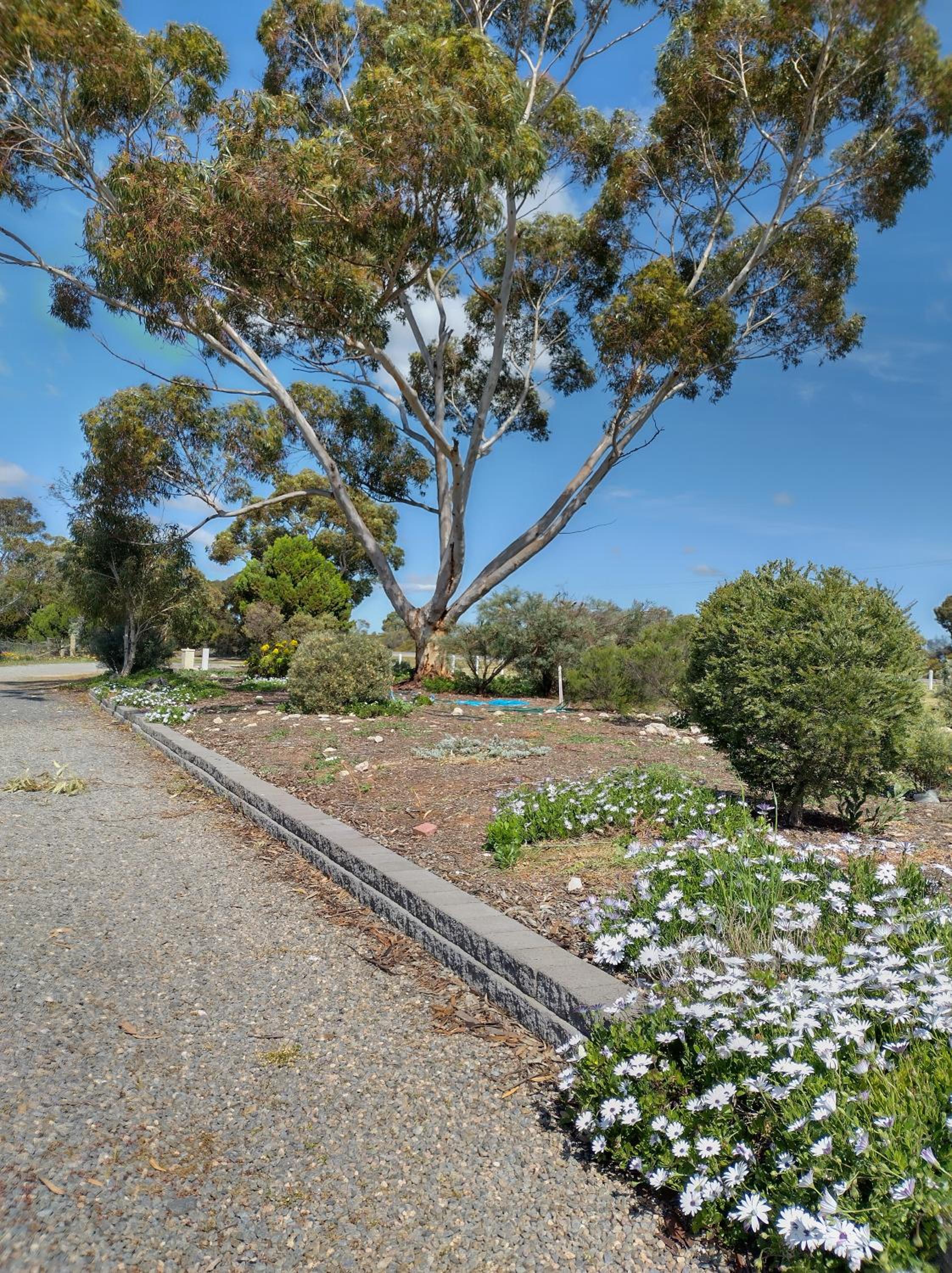 Murray Bridge Motor Inn