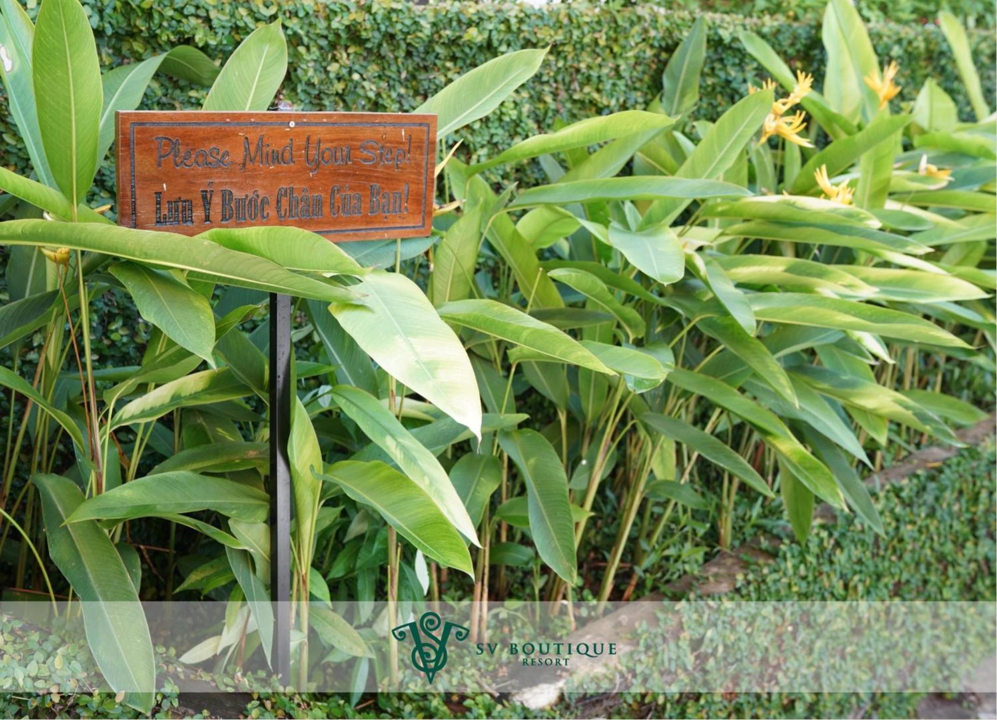 SV Boutique Resort