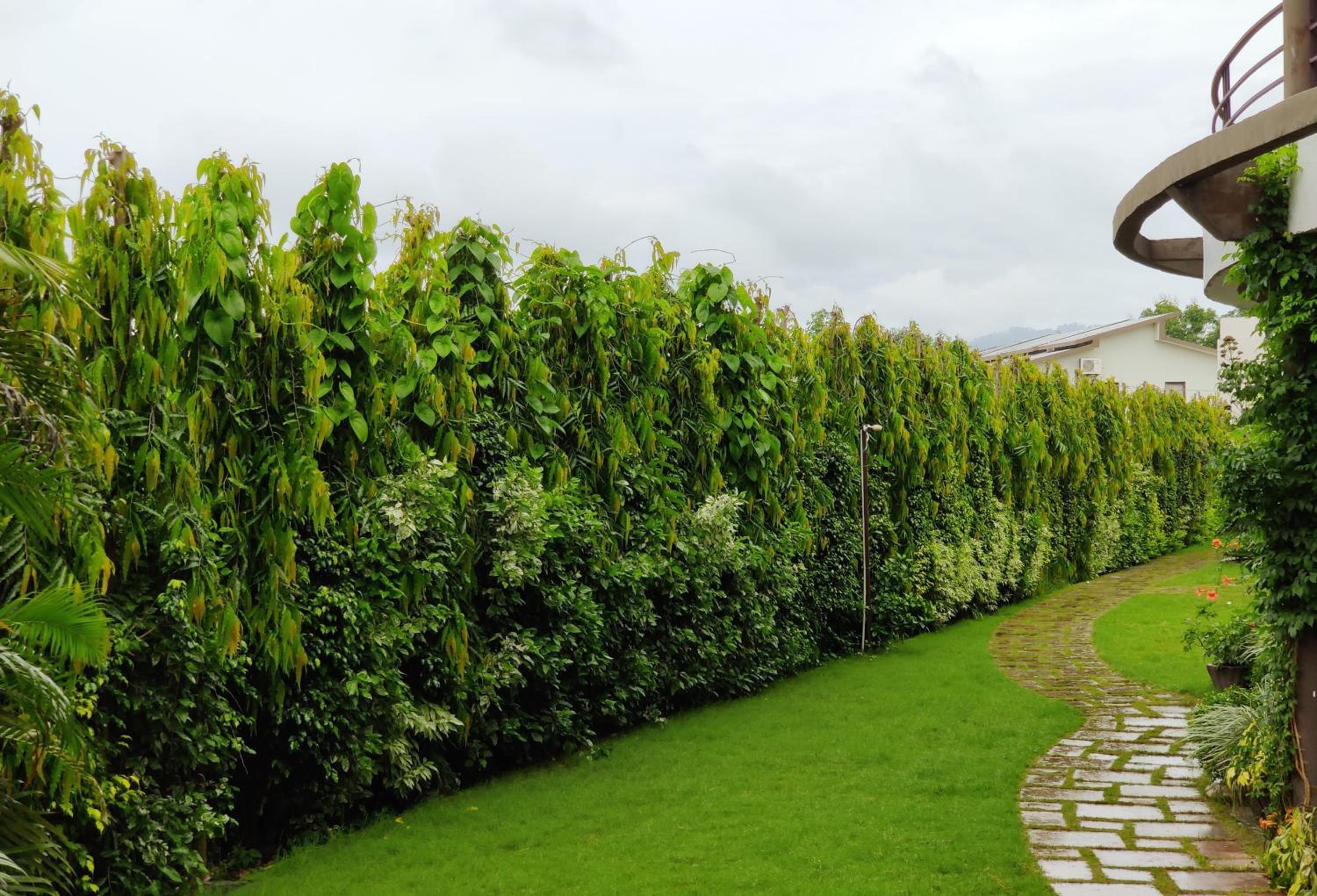 Corbett Panorama Resort