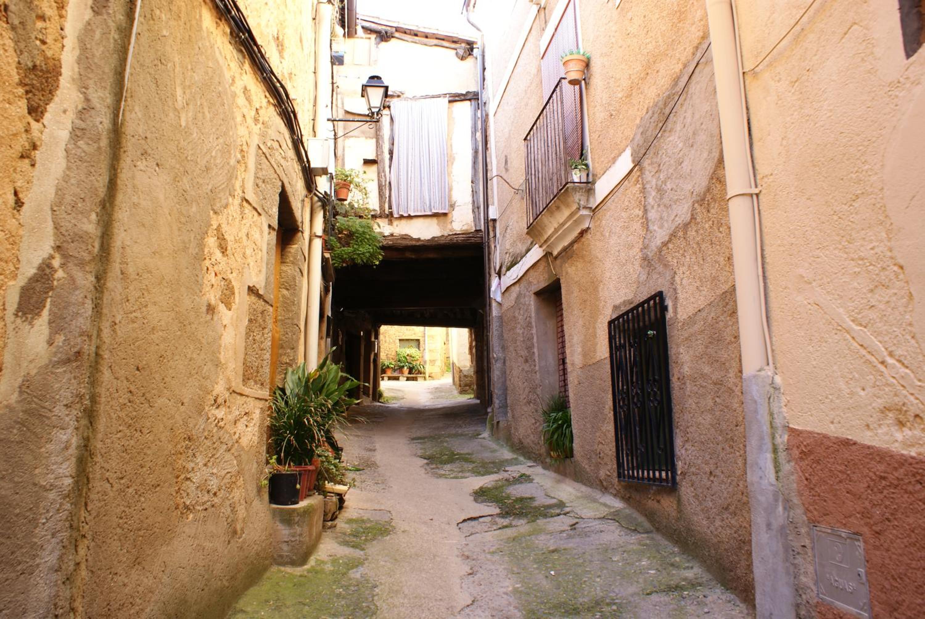 Photo 48